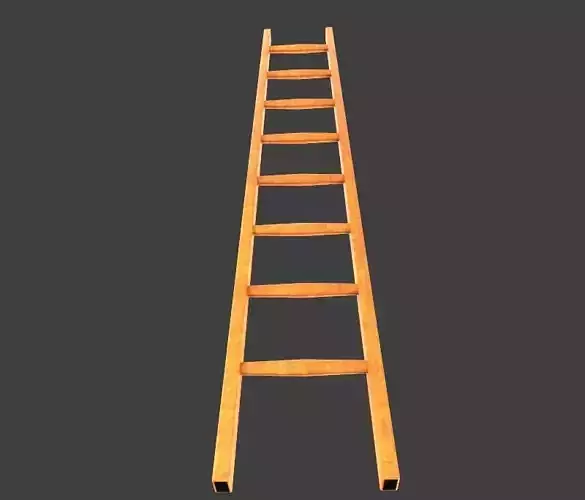 Wooden Ladder