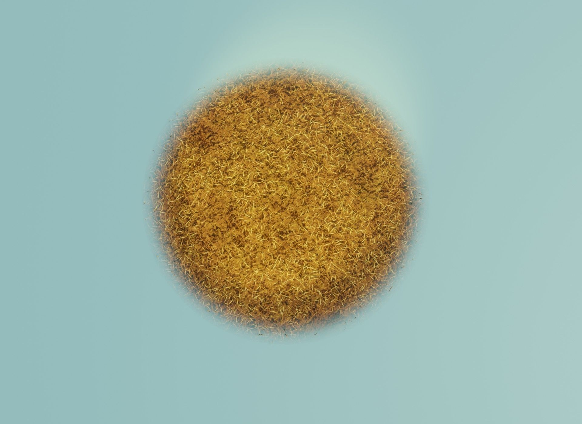 Cartoon Savanna Terrain 3D Model Low-poly 3D model_5