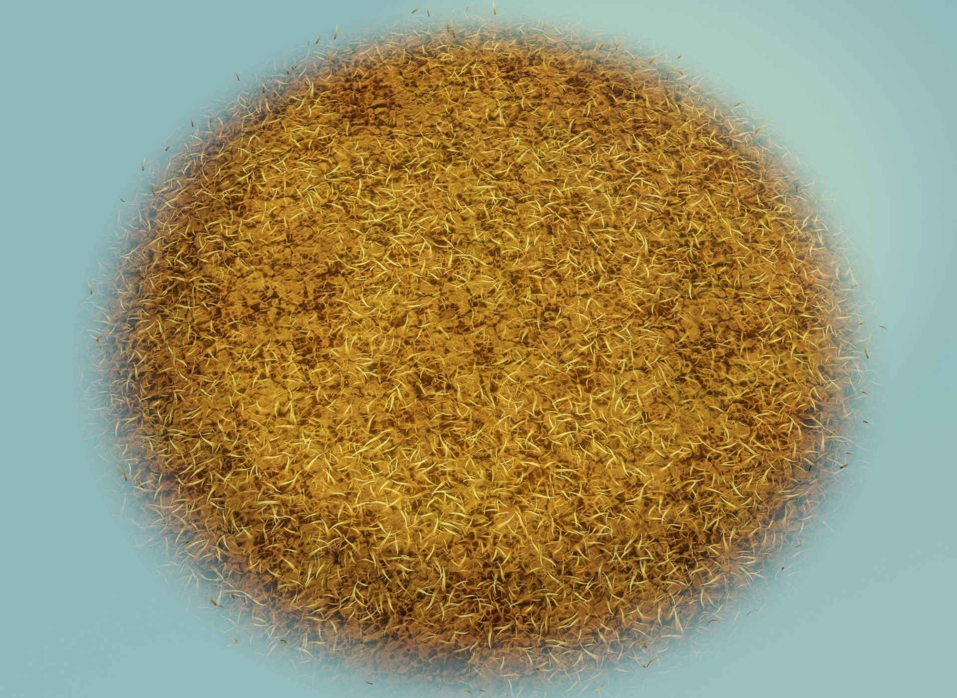 Cartoon Savanna Terrain 3D Model Low-poly 3D model_6