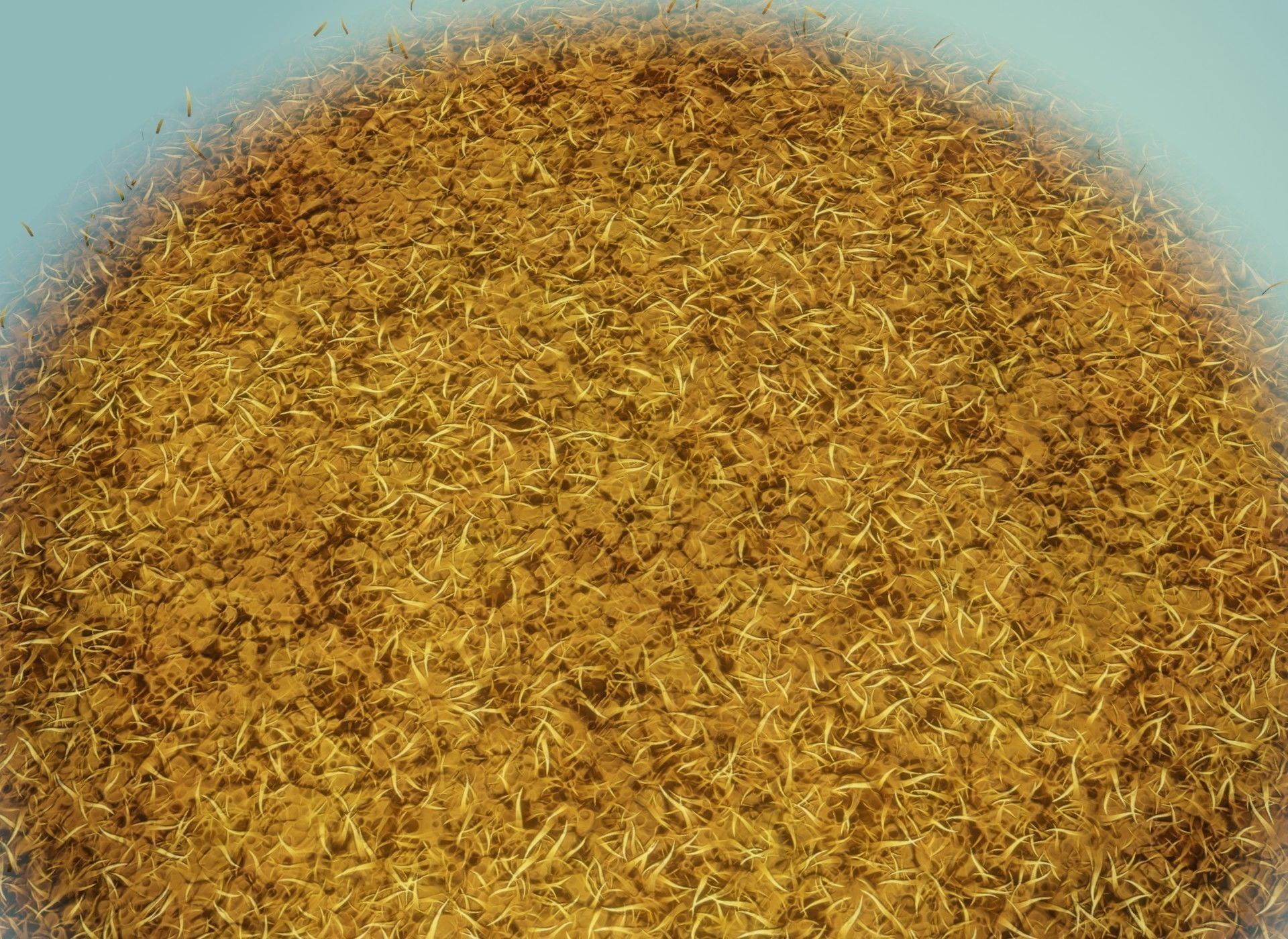 Cartoon Savanna Terrain 3D Model Low-poly 3D model_18