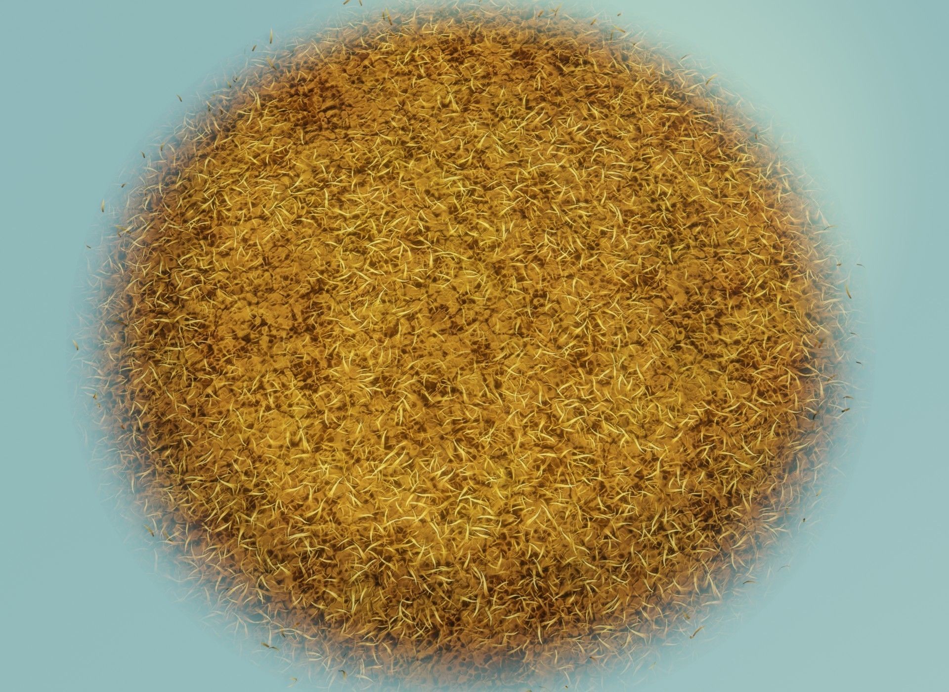 Cartoon Savanna Terrain 3D Model Low-poly 3D model_2