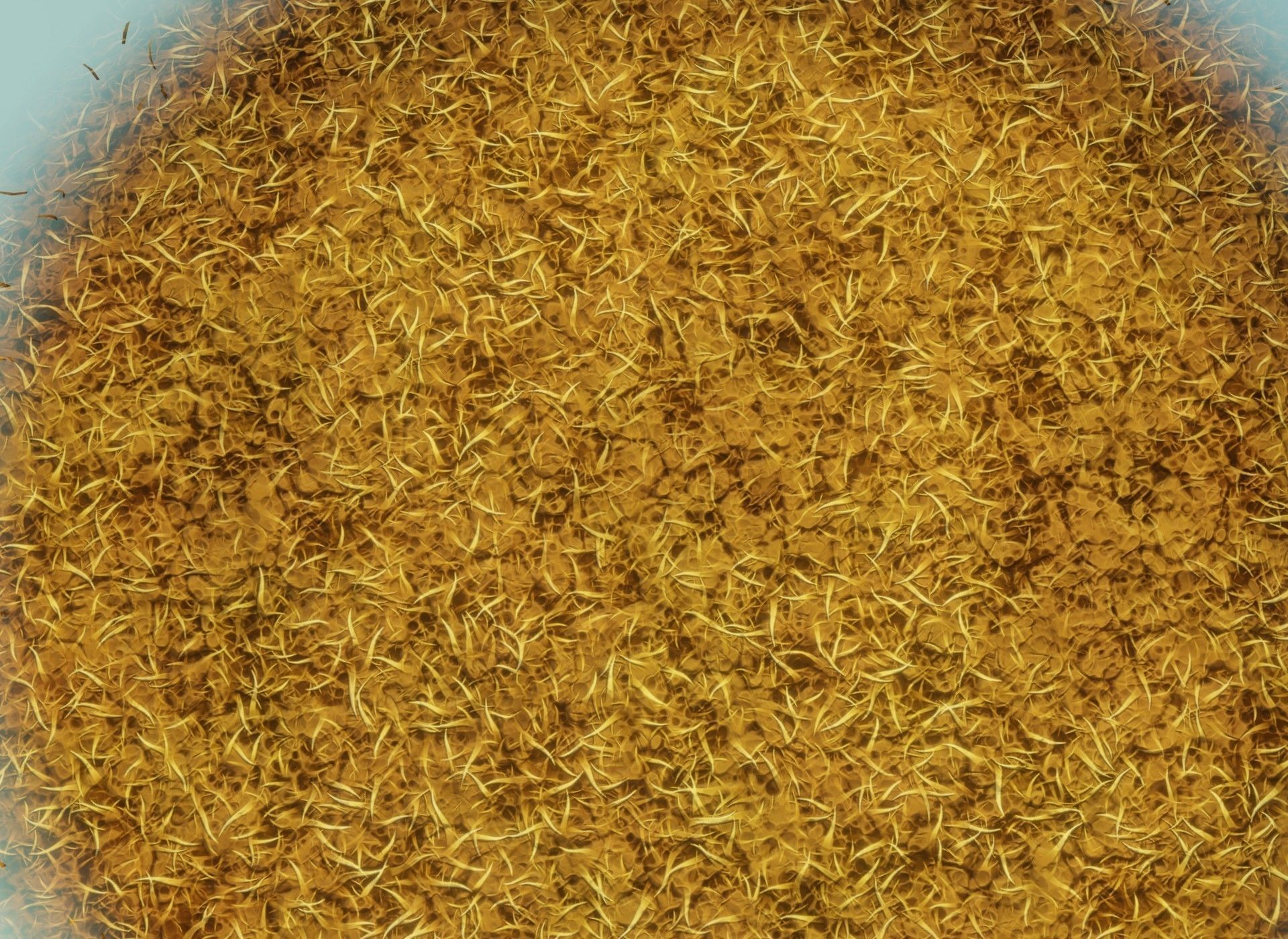 Cartoon Savanna Terrain 3D Model Low-poly 3D model_13