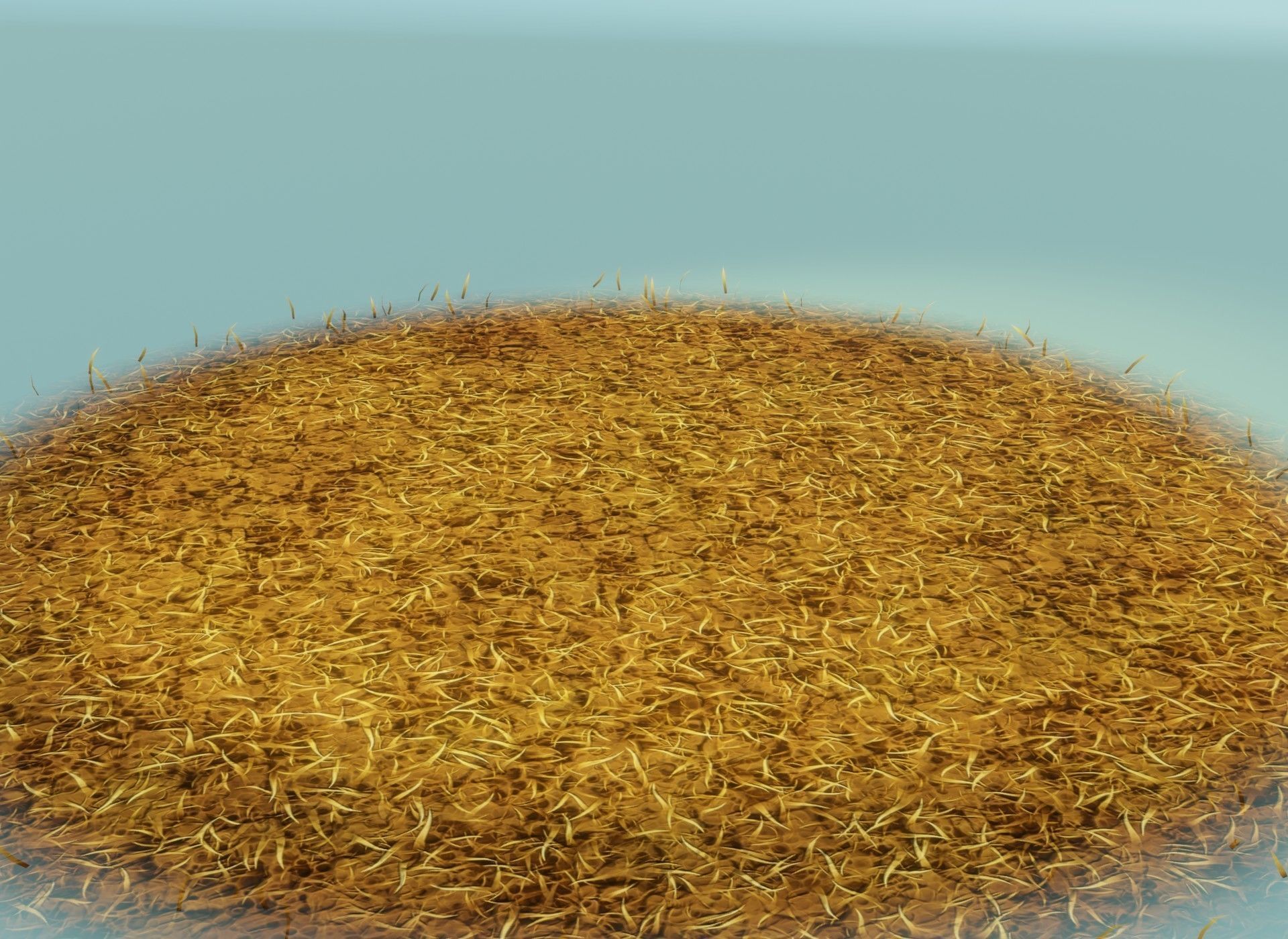 Cartoon Savanna Terrain 3D Model Low-poly 3D model_17