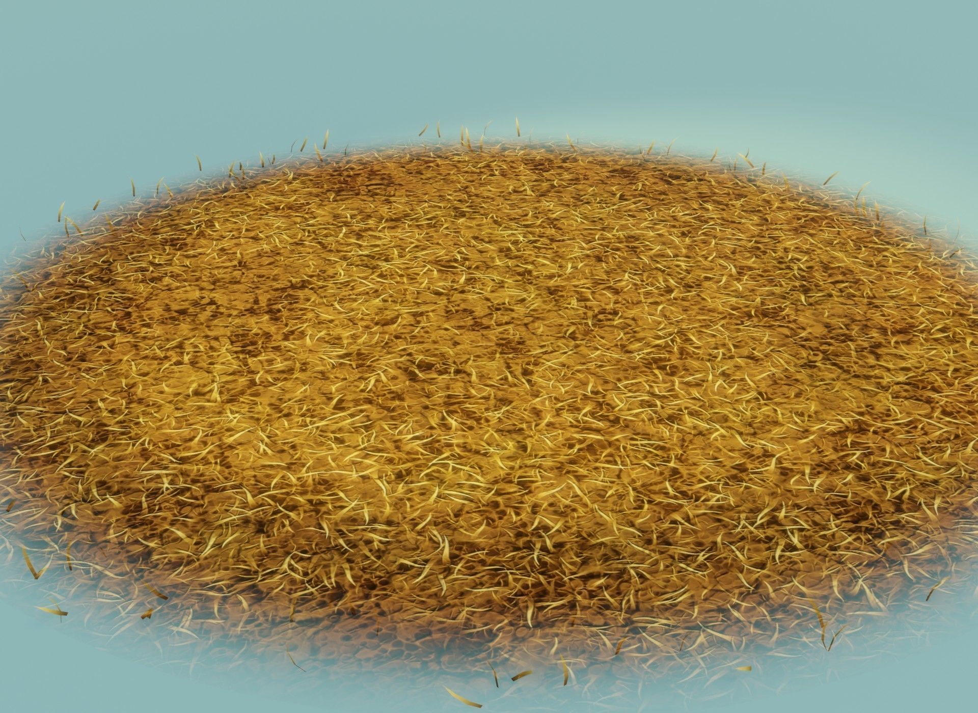 Cartoon Savanna Terrain 3D Model Low-poly 3D model_11