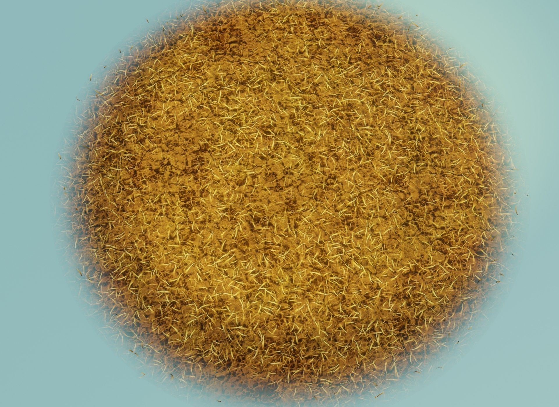 Cartoon Savanna Terrain 3D Model Low-poly 3D model_9