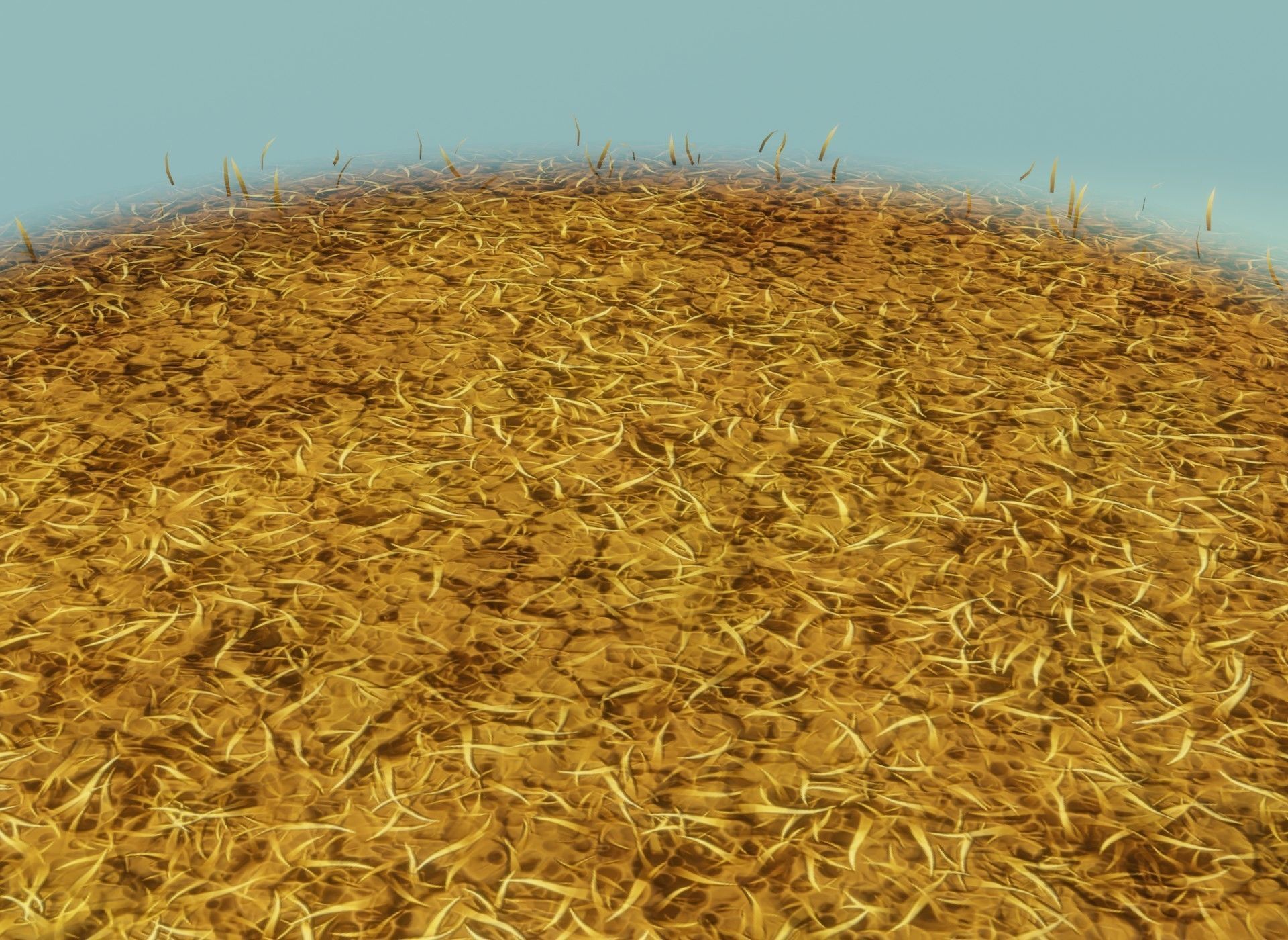 Cartoon Savanna Terrain 3D Model Low-poly 3D model_19