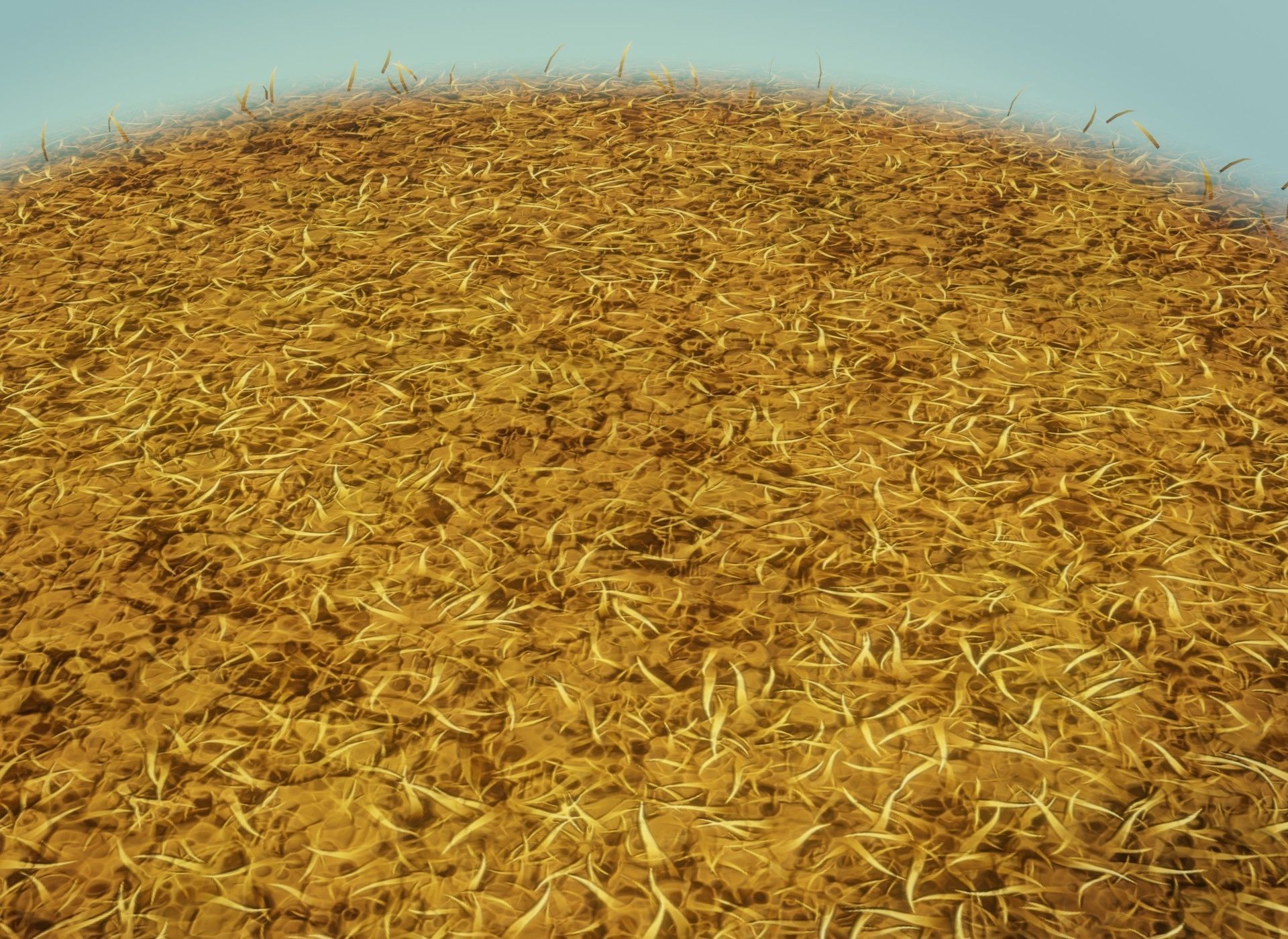 Cartoon Savanna Terrain 3D Model Low-poly 3D model_4