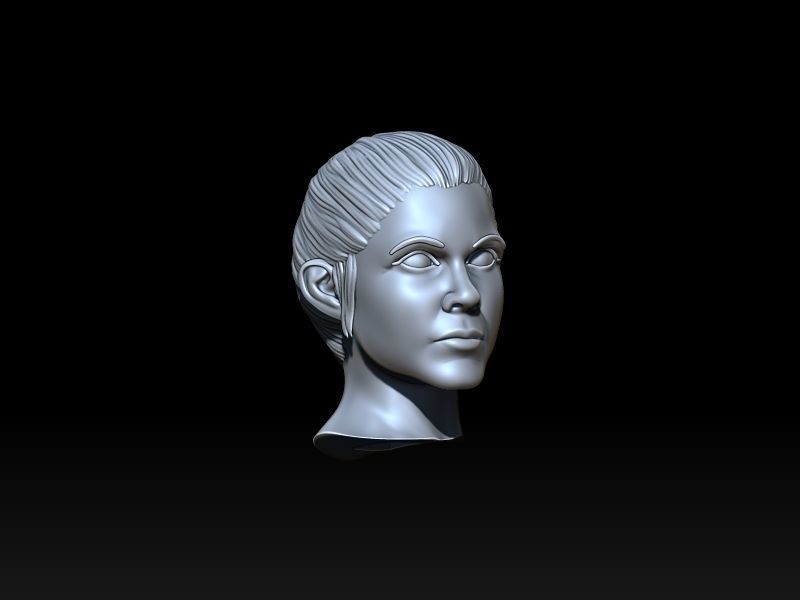 Princess Leia and R2D2 3D print model_19