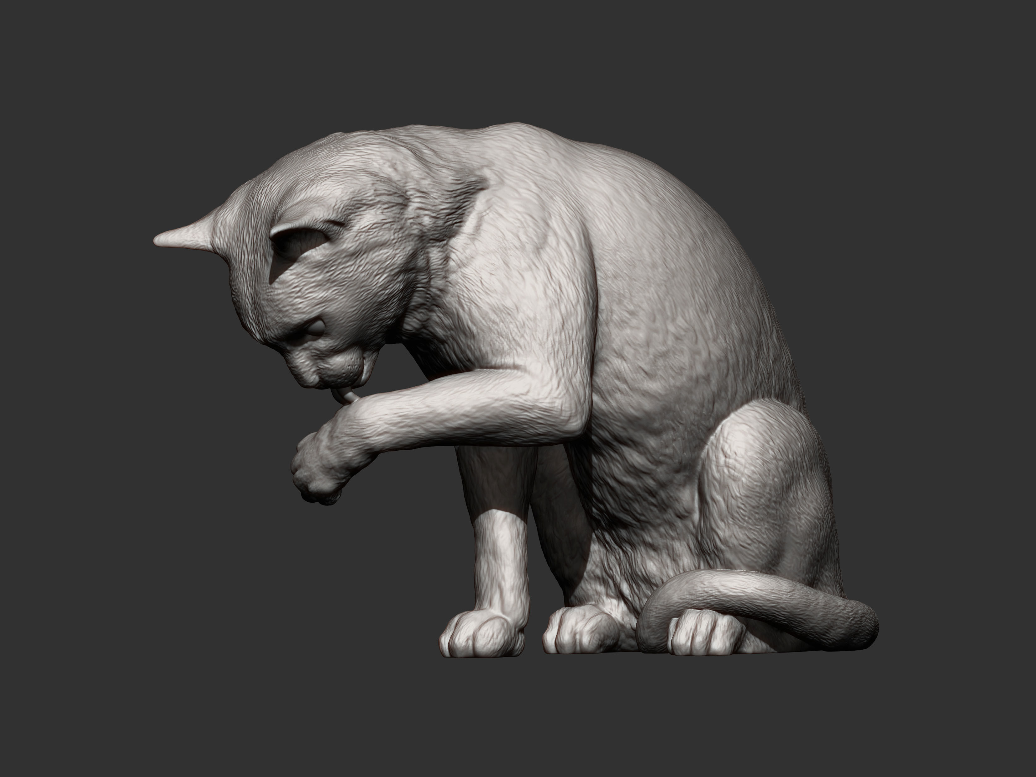 Cat for 3d printing 3D print model 3D print model_3