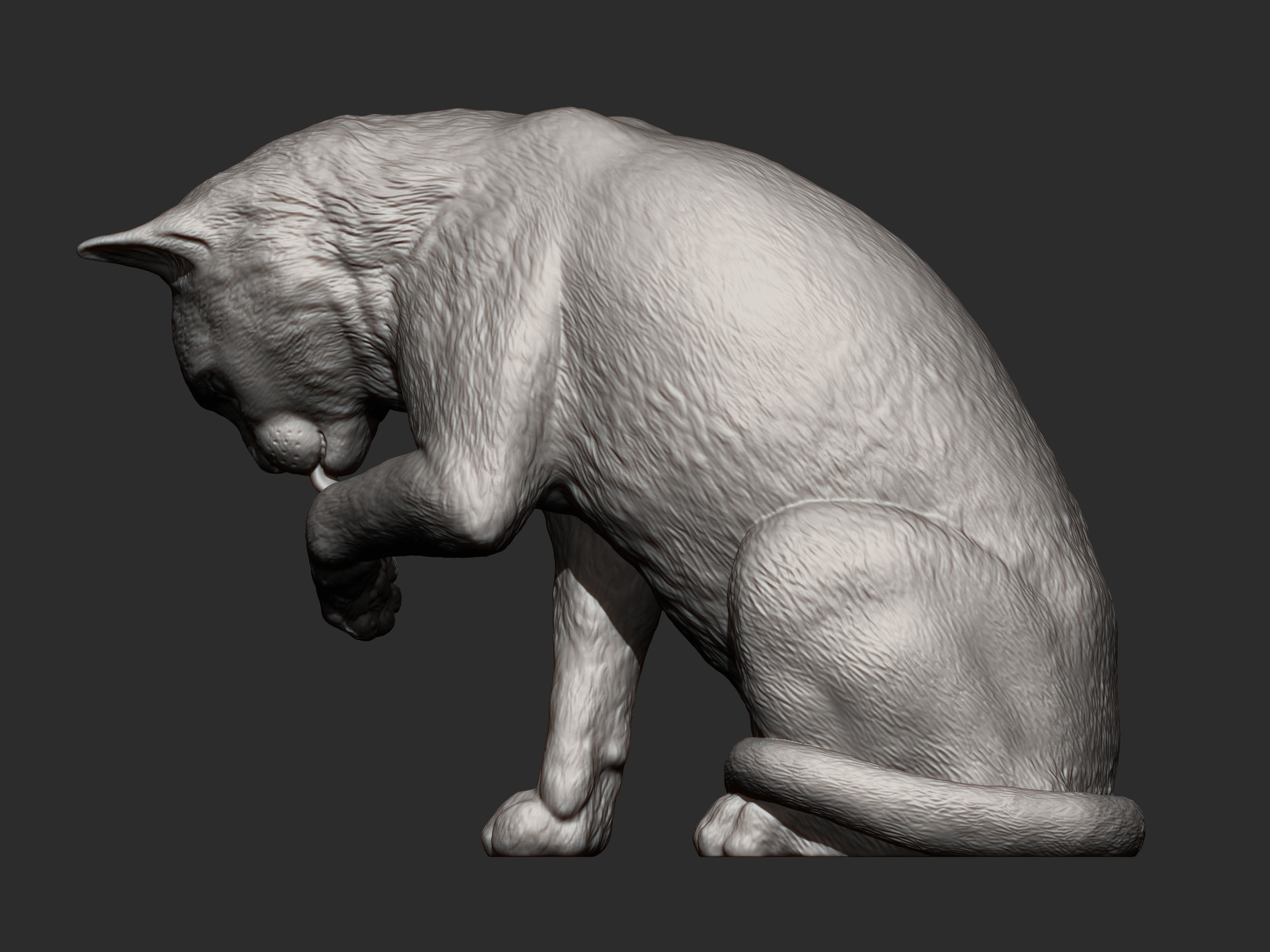 Cat for 3d printing 3D print model 3D print model_5