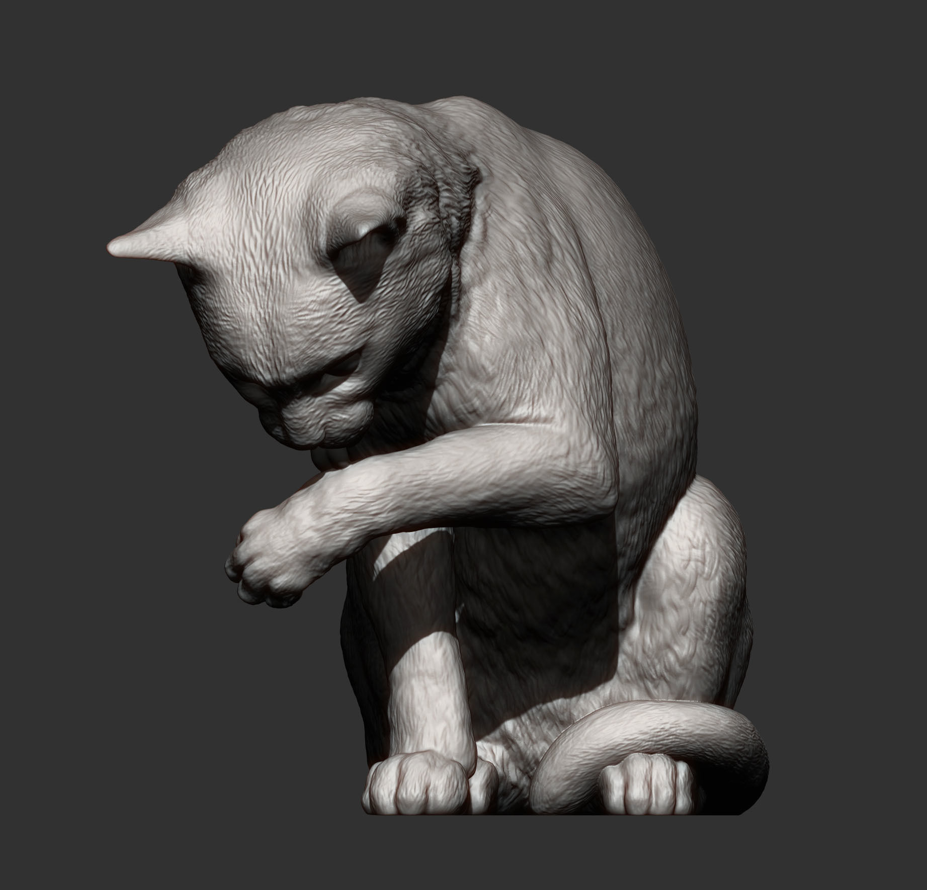 Cat for 3d printing 3D print model 3D print model_4
