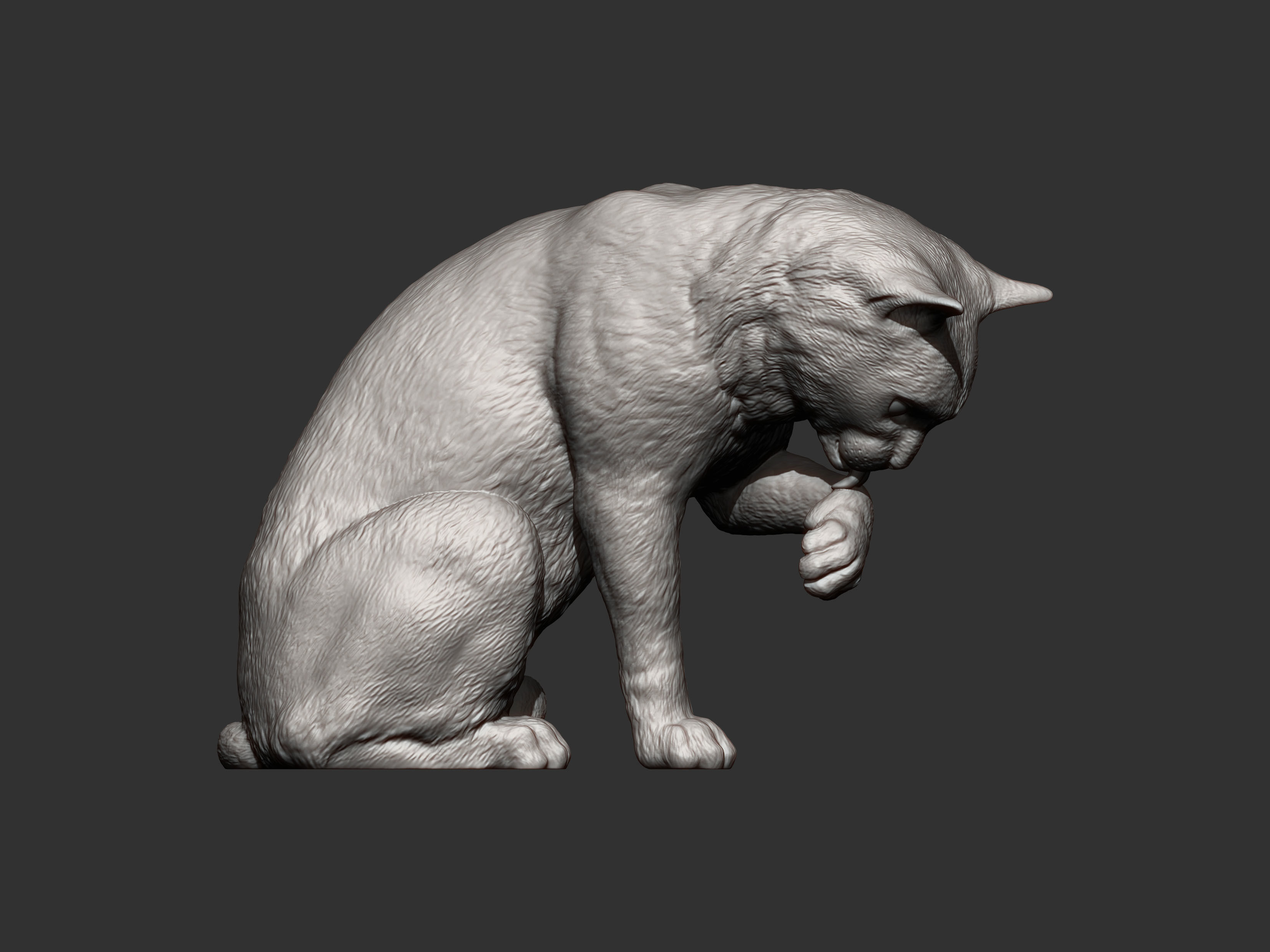 Cat for 3d printing 3D print model 3D print model_2