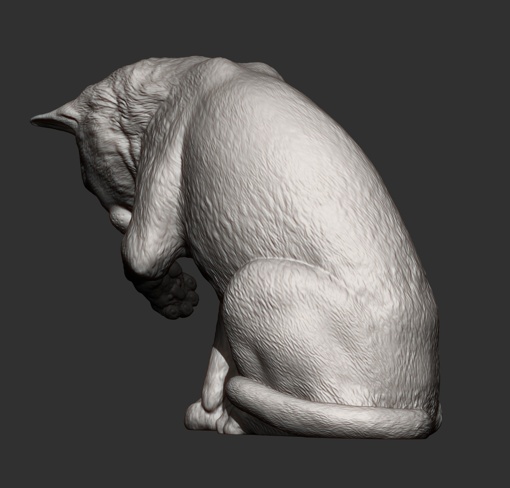 Cat for 3d printing 3D print model 3D print model_7