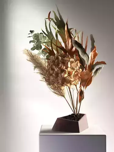 Ikebana 3 arrangement of dried plants