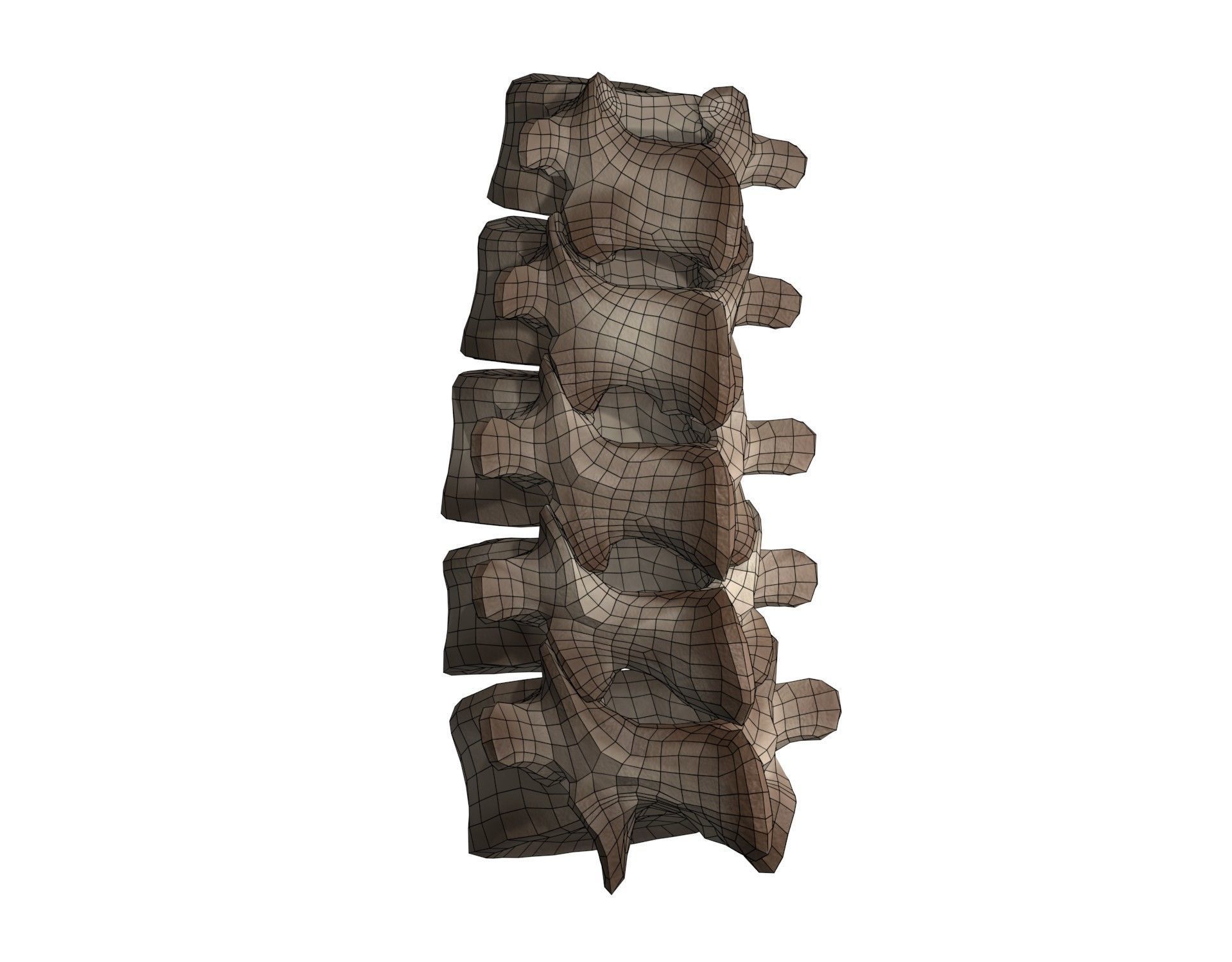 Lumbar Spine 3D model_11