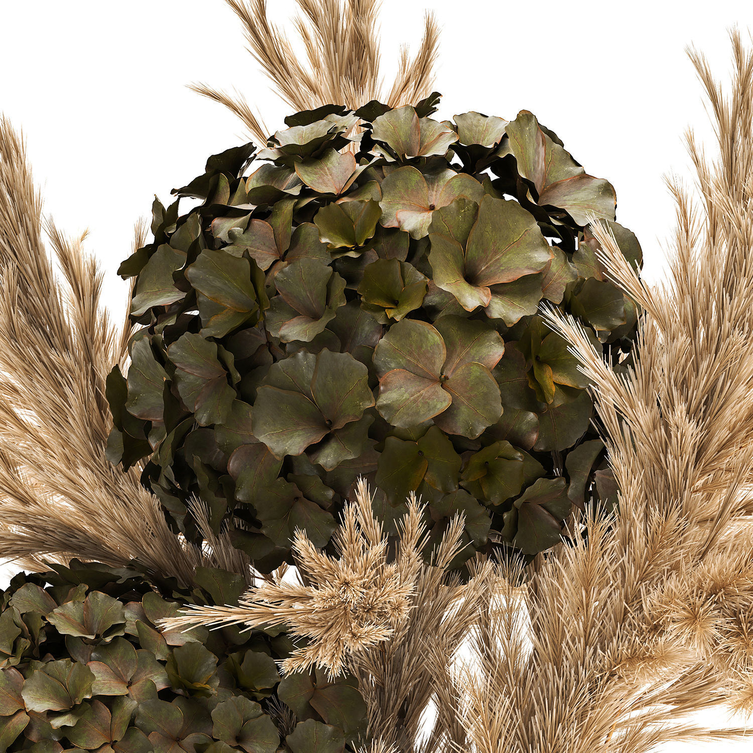 Bouquet of dried flowers in a vase 170 3D model_4