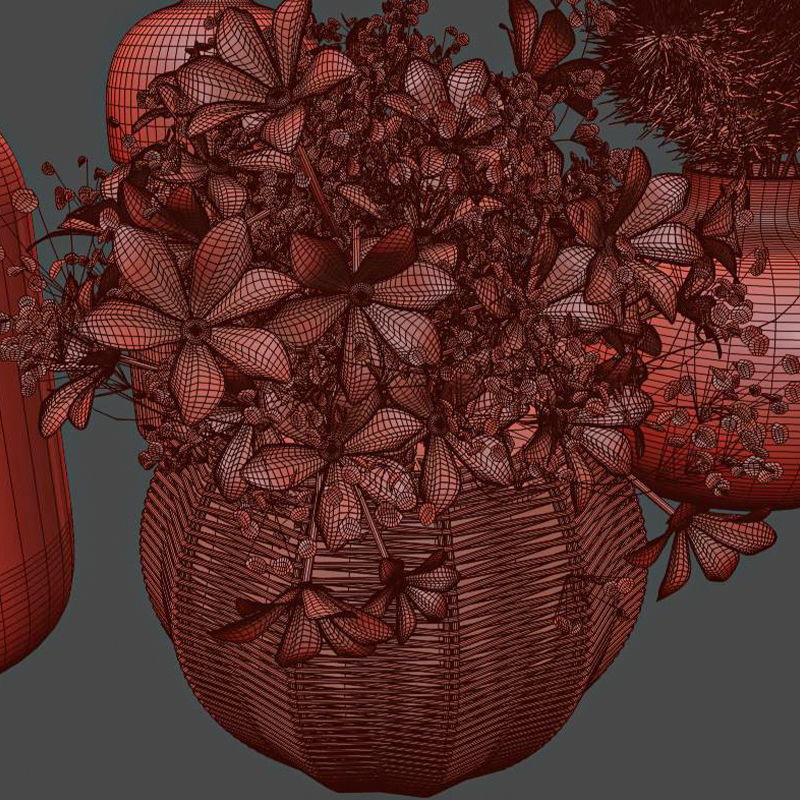 bouquet 02 pampass 3D model_4