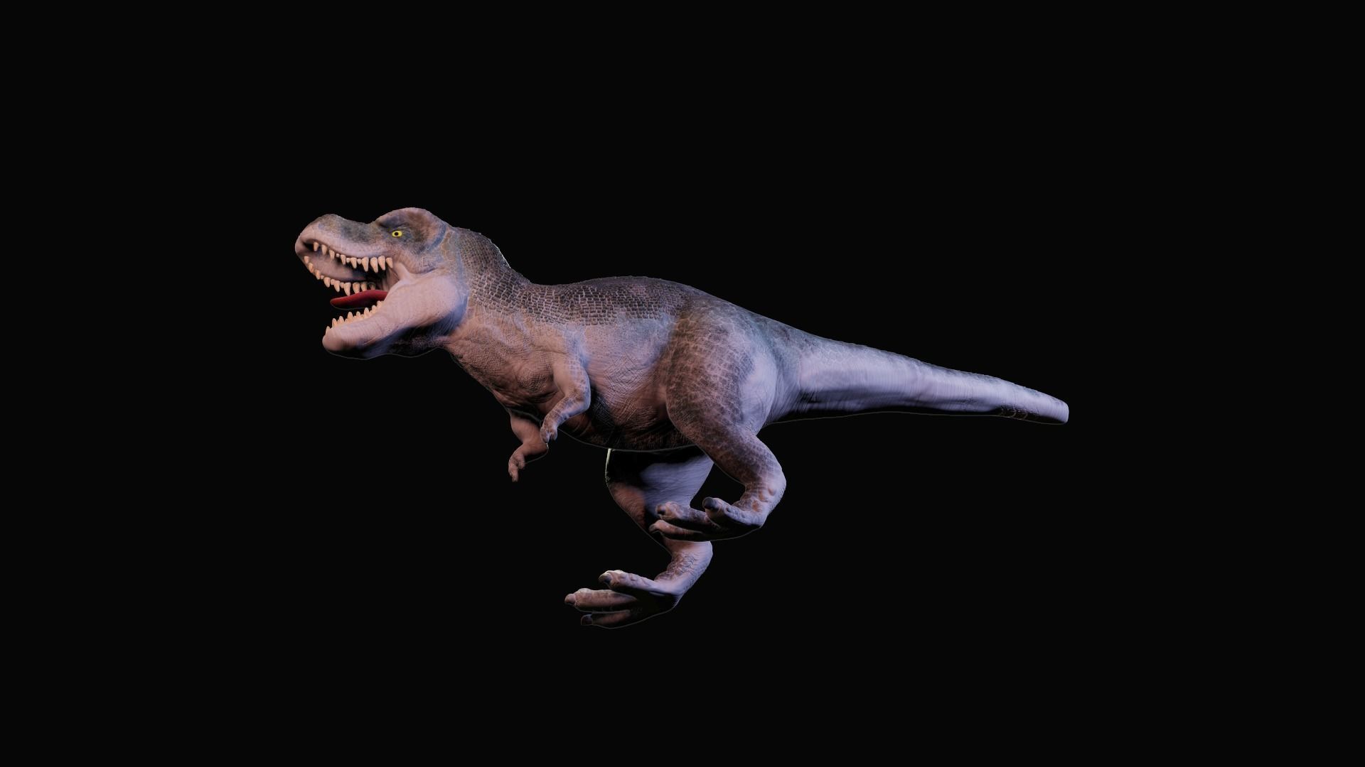 Tyrannosaurus Rex 3D model_6