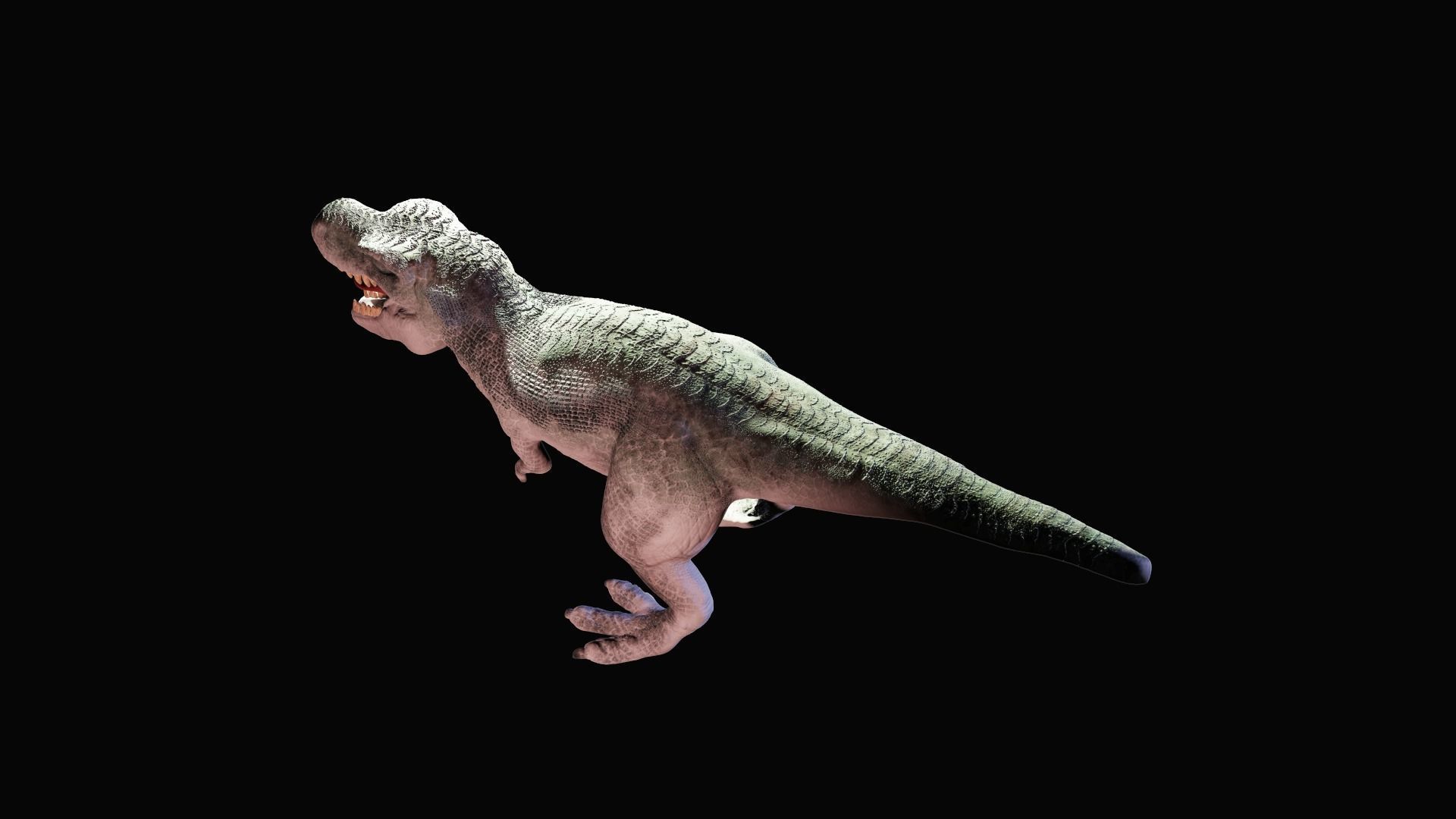 Tyrannosaurus Rex 3D model_4