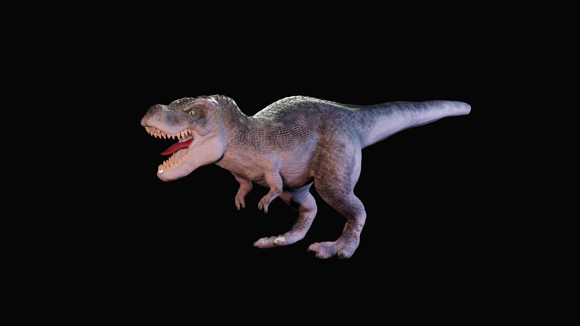 Tyrannosaurus Rex 3D model_5