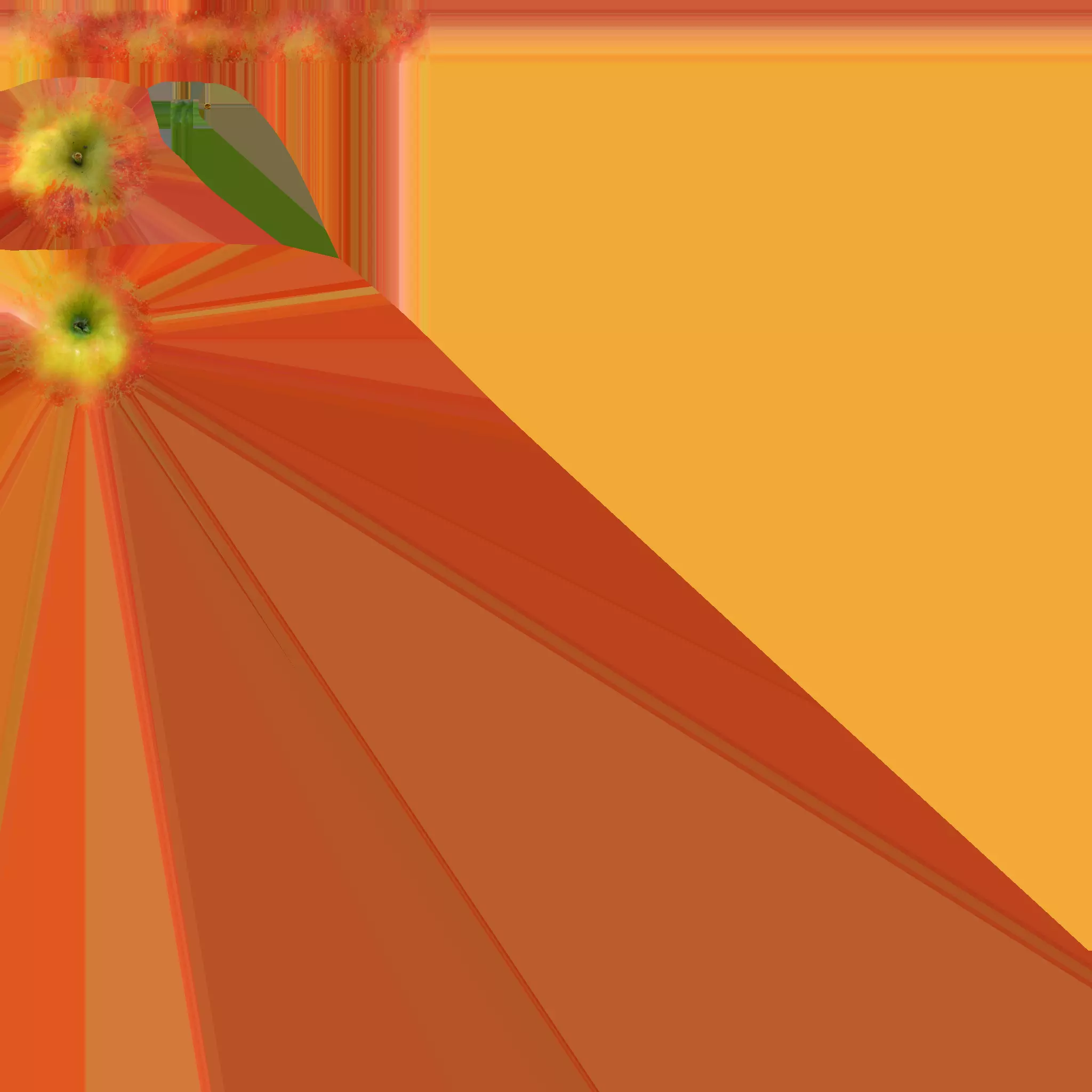 Apple orange and background with flower in middle Free low-poly 3D model