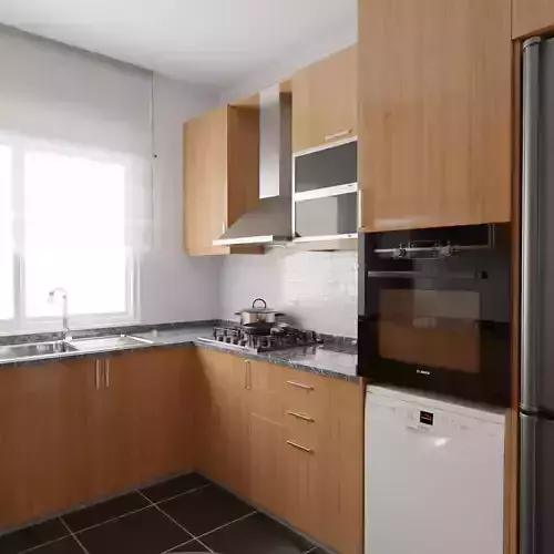 Kitchen Realistic modern with wooden cabinets