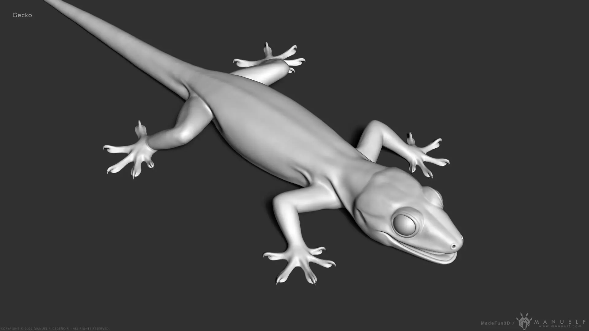 Tropical House Gecko Lizard - Highpoly Model 3D model_0