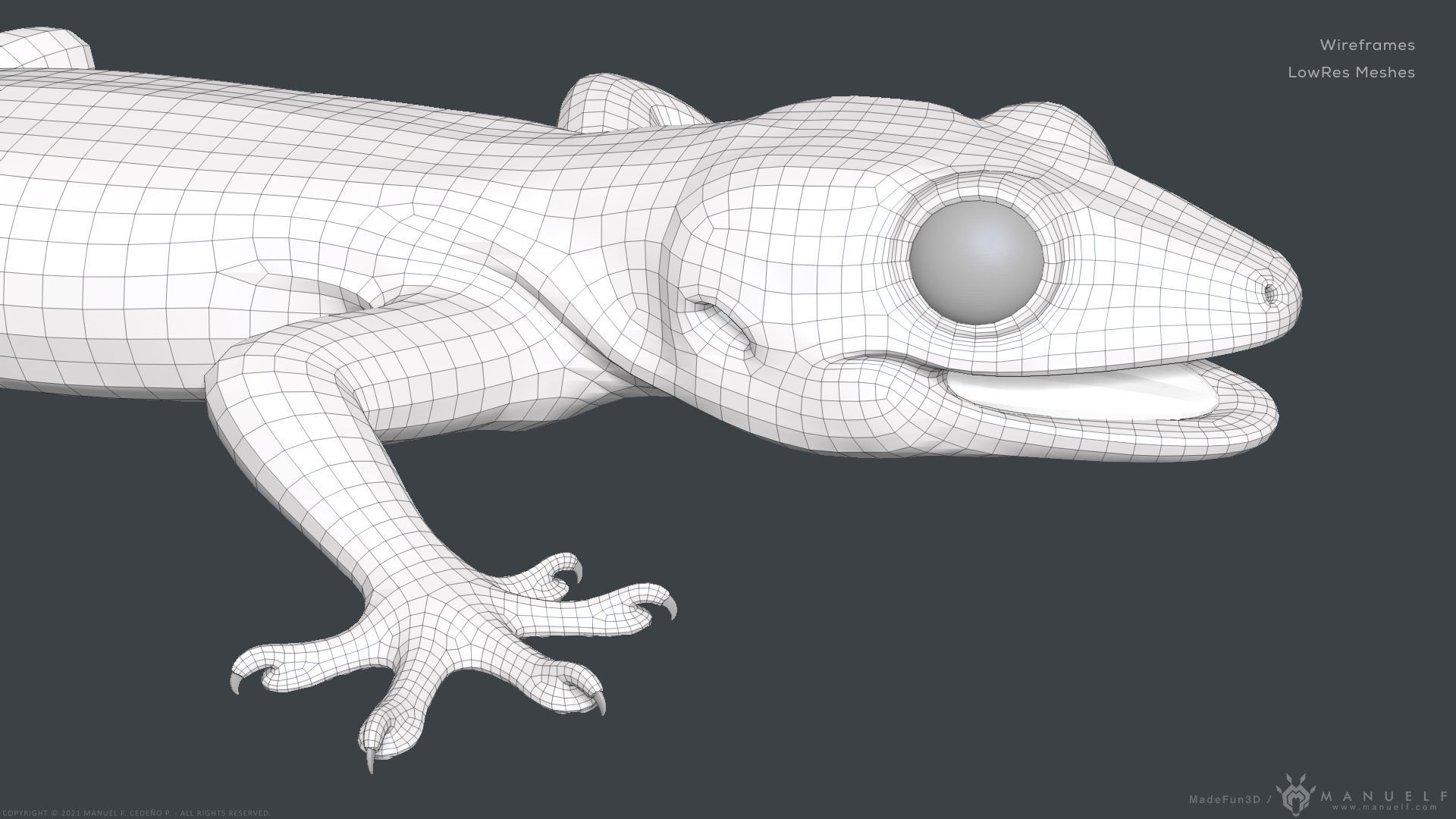Tropical House Gecko Lizard - Highpoly Model 3D model_22