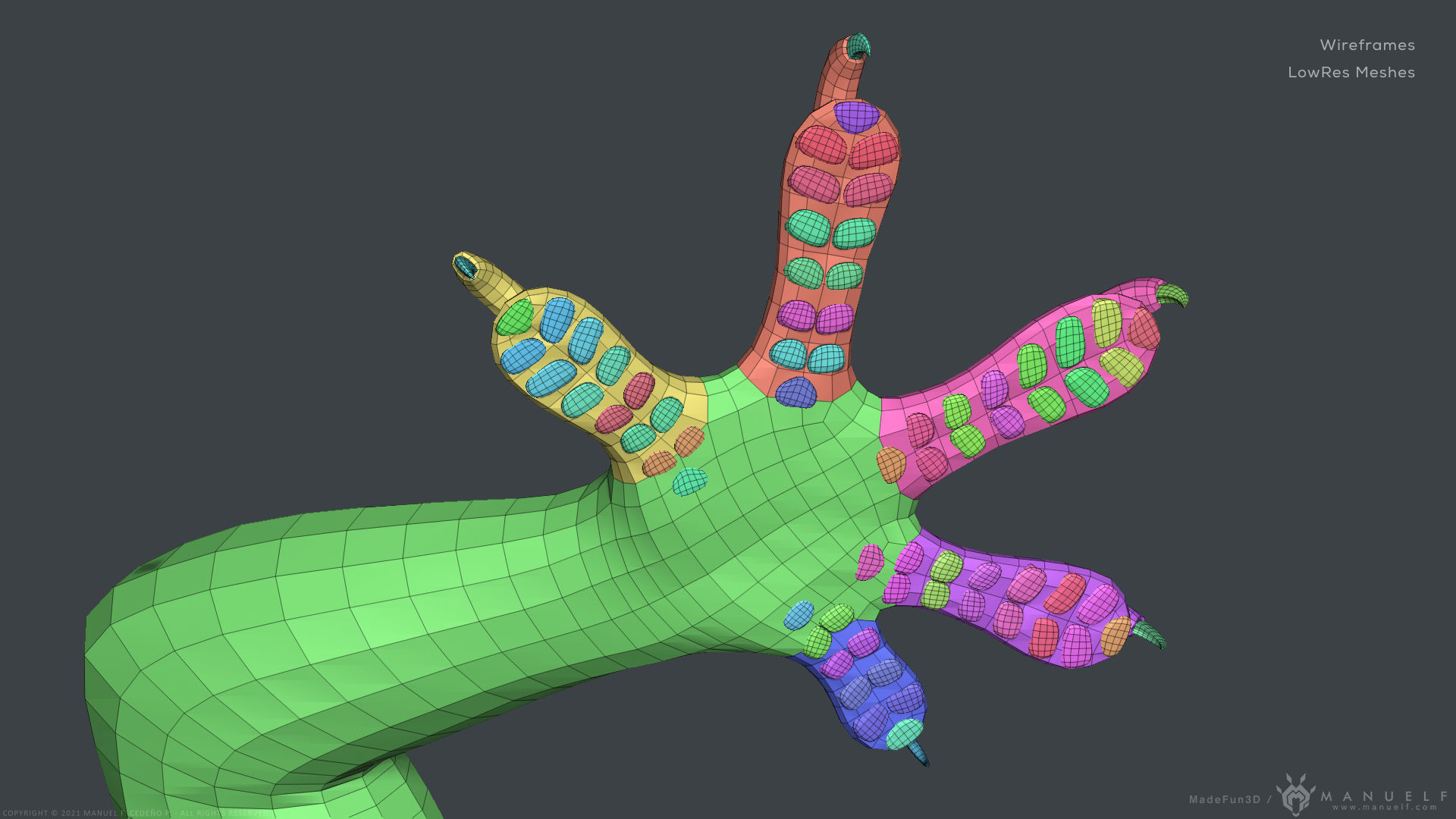 Tropical House Gecko Lizard - Highpoly Model 3D model_27