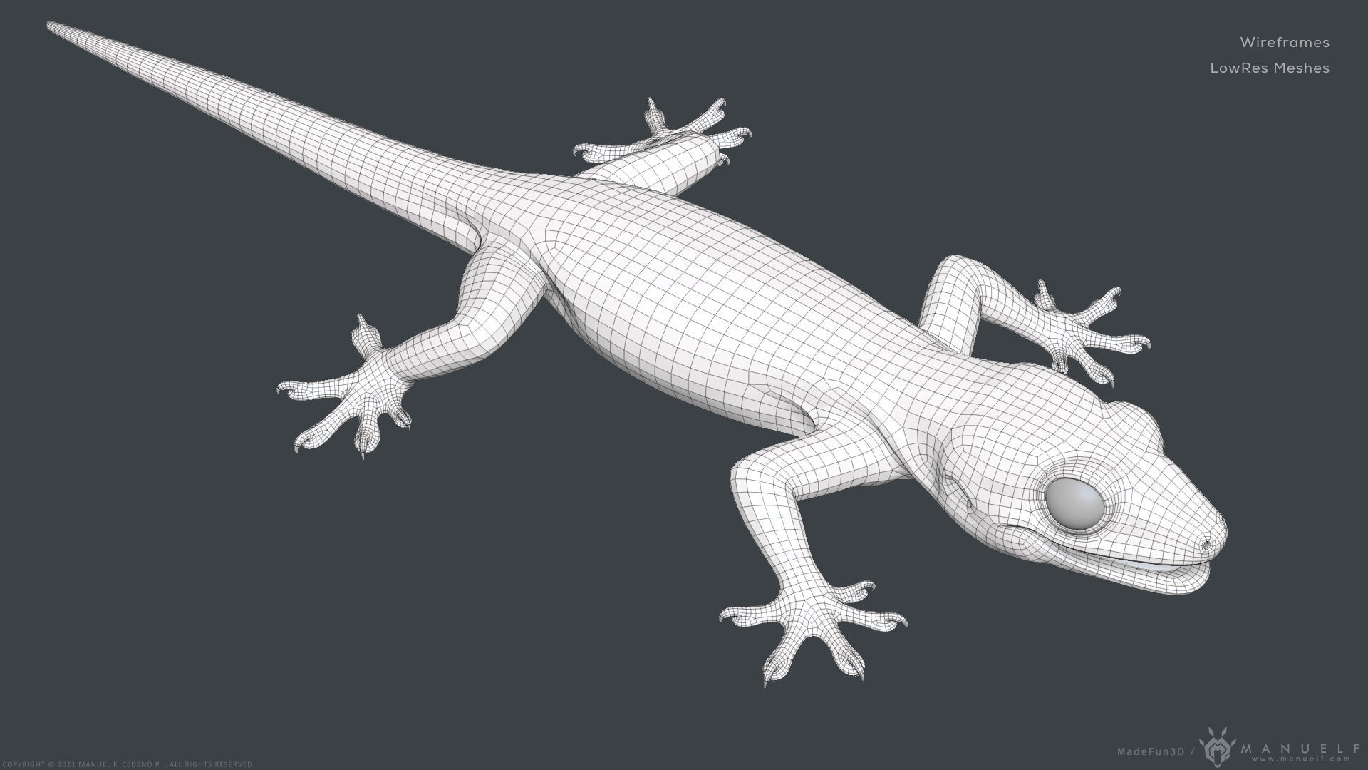 Tropical House Gecko Lizard - Highpoly Model 3D model_21