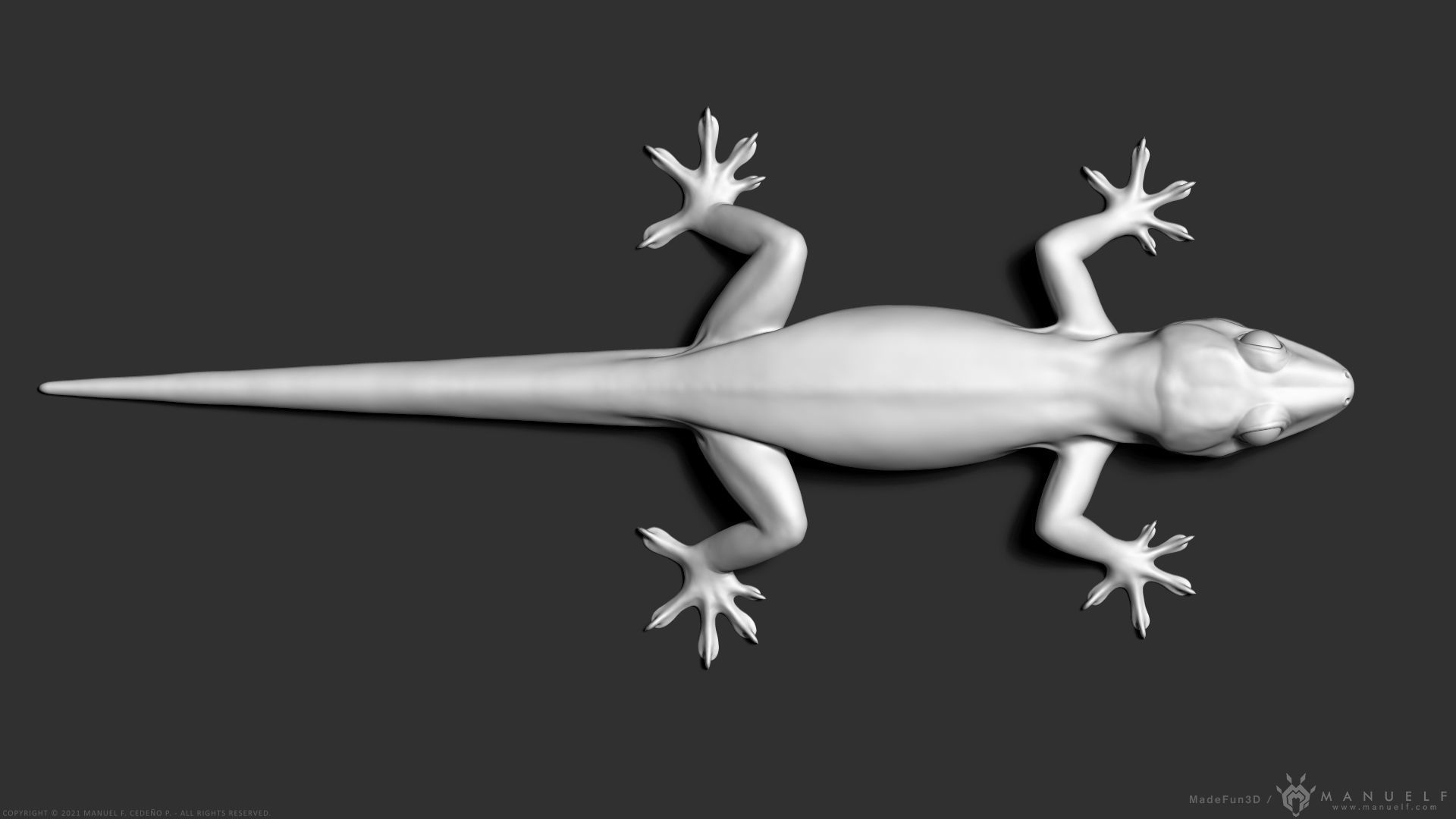 Tropical House Gecko Lizard - Highpoly Model 3D model_13