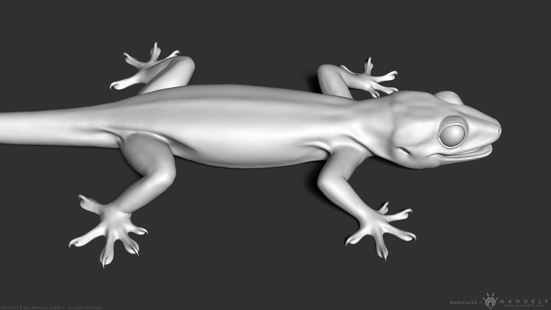 Tropical House Gecko Lizard - Highpoly Model 3D model_3