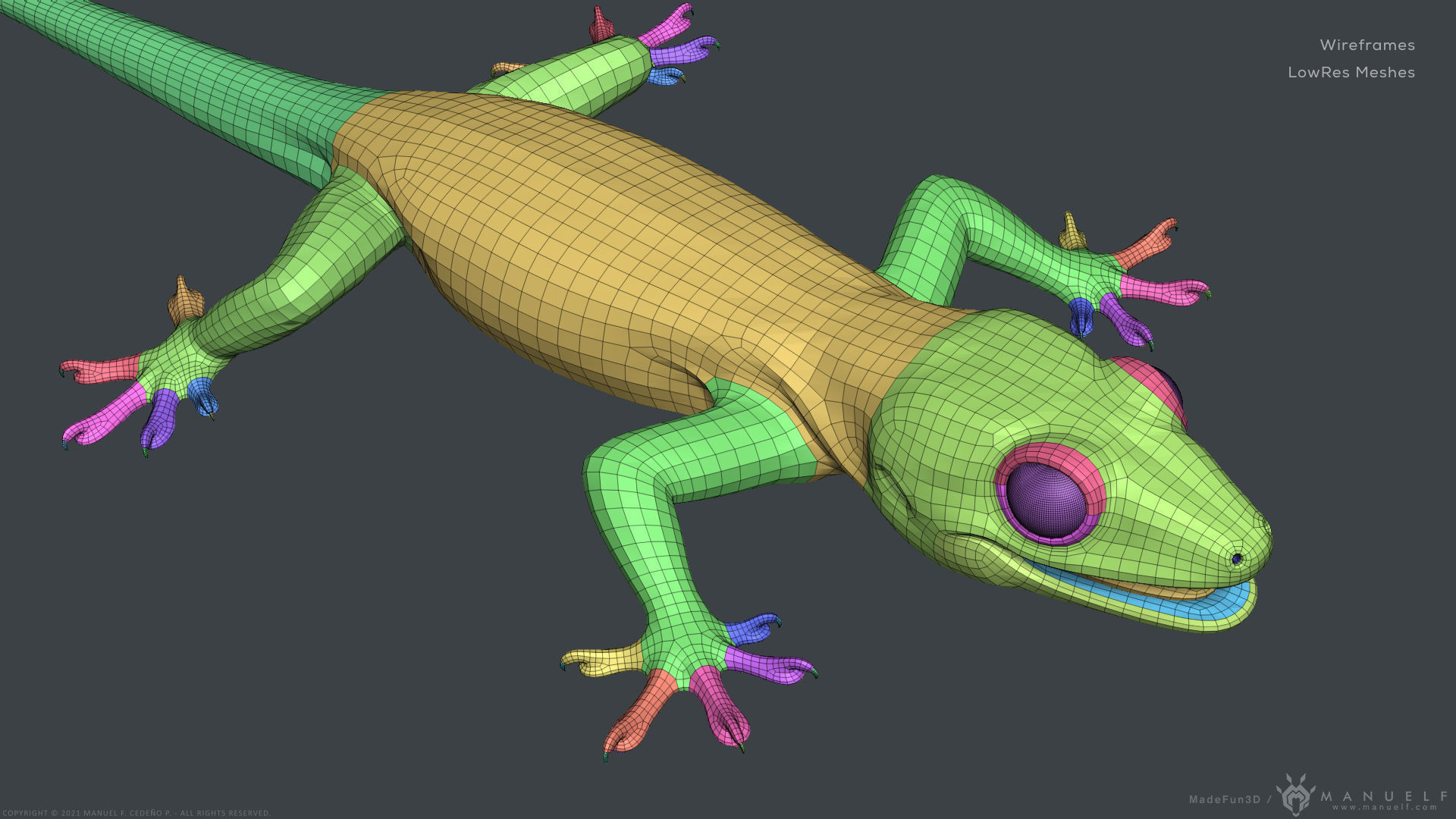Tropical House Gecko Lizard - Highpoly Model 3D model_25