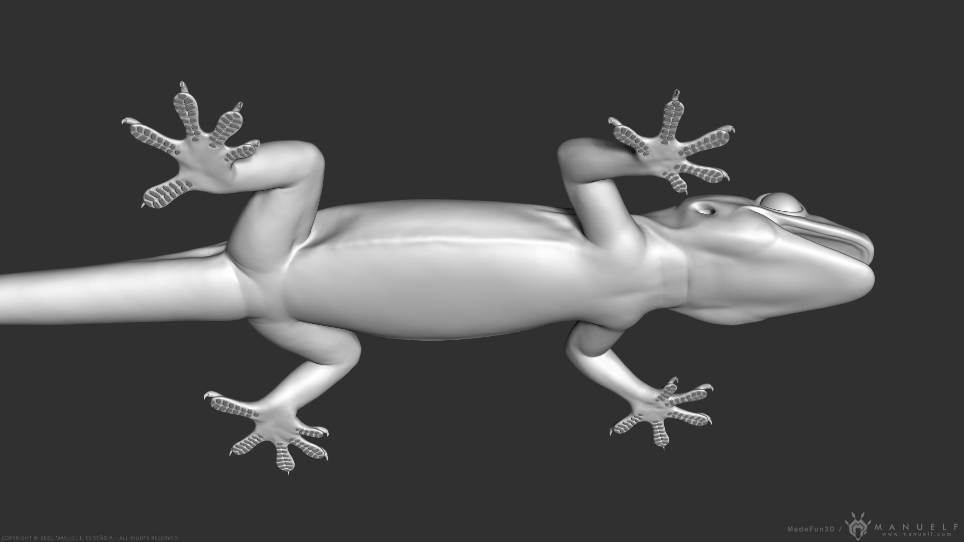 Tropical House Gecko Lizard - Highpoly Model 3D model_8