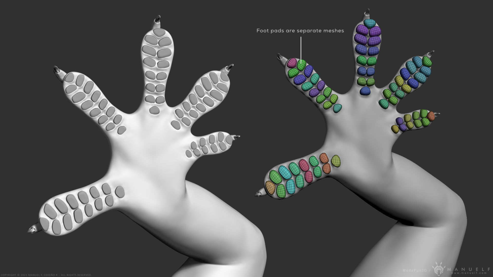 Tropical House Gecko Lizard - Highpoly Model 3D model_11