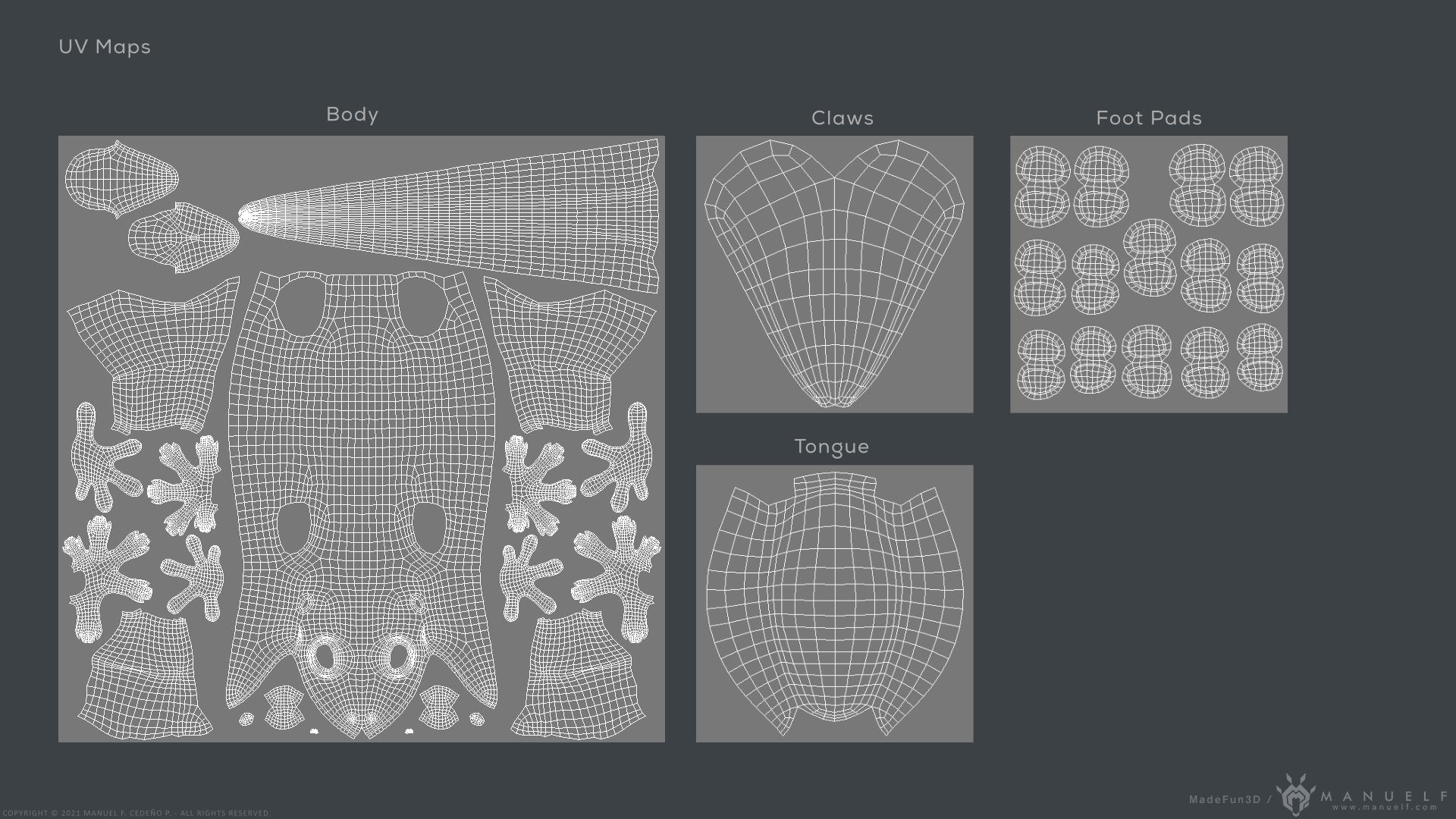 Tropical House Gecko Lizard - Highpoly Model 3D model_30