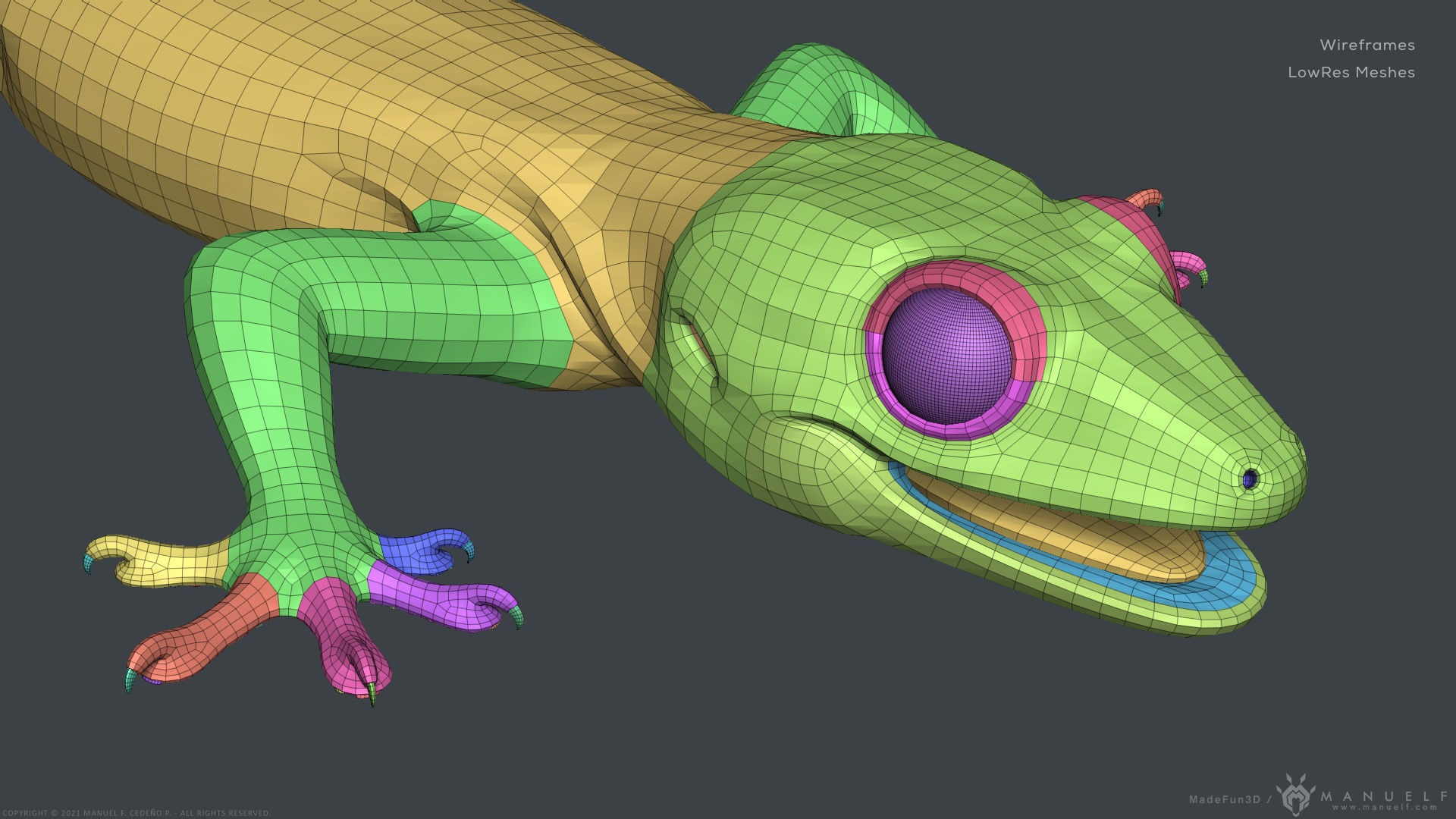 Tropical House Gecko Lizard - Highpoly Model 3D model_26
