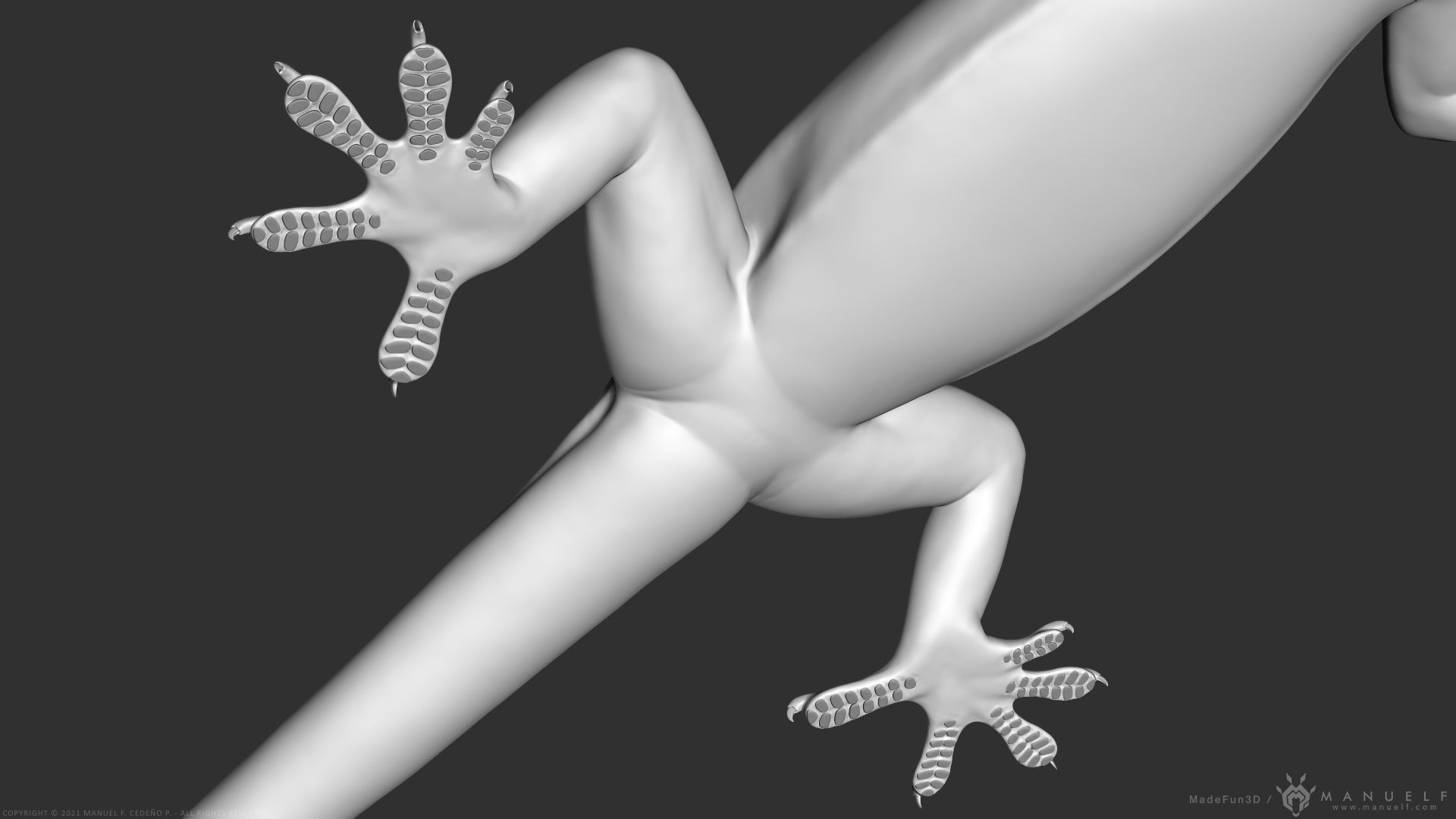 Tropical House Gecko Lizard - Highpoly Model 3D model_10