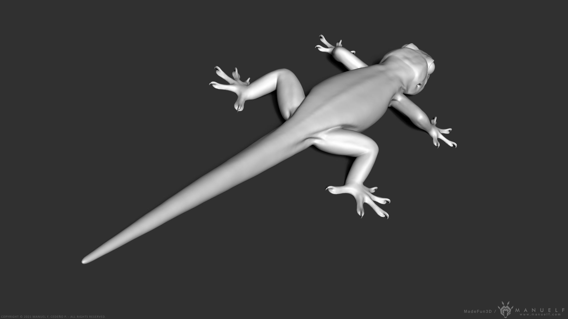 Tropical House Gecko Lizard - Highpoly Model 3D model_7