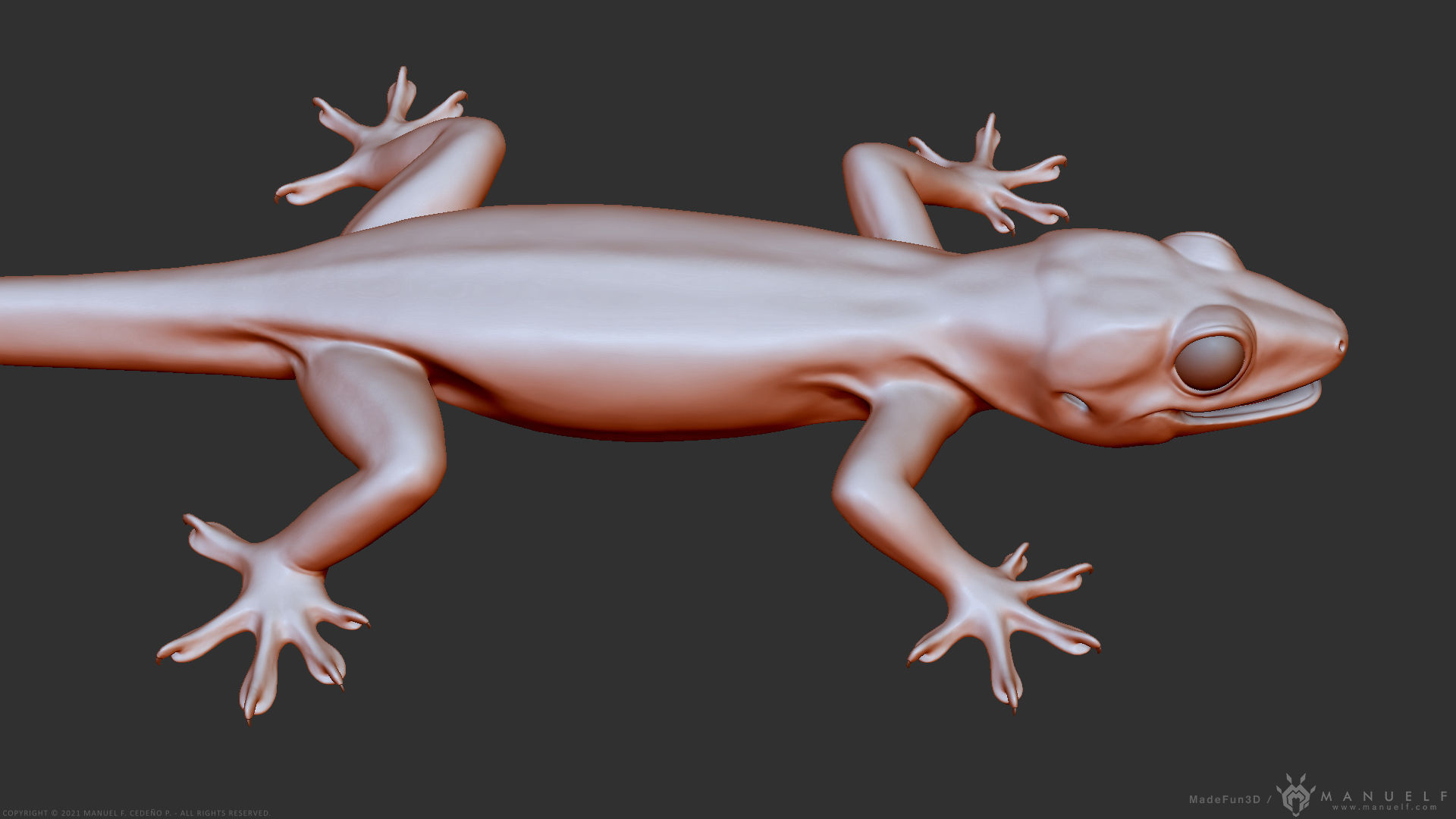 Tropical House Gecko Lizard - Highpoly Model 3D model_17