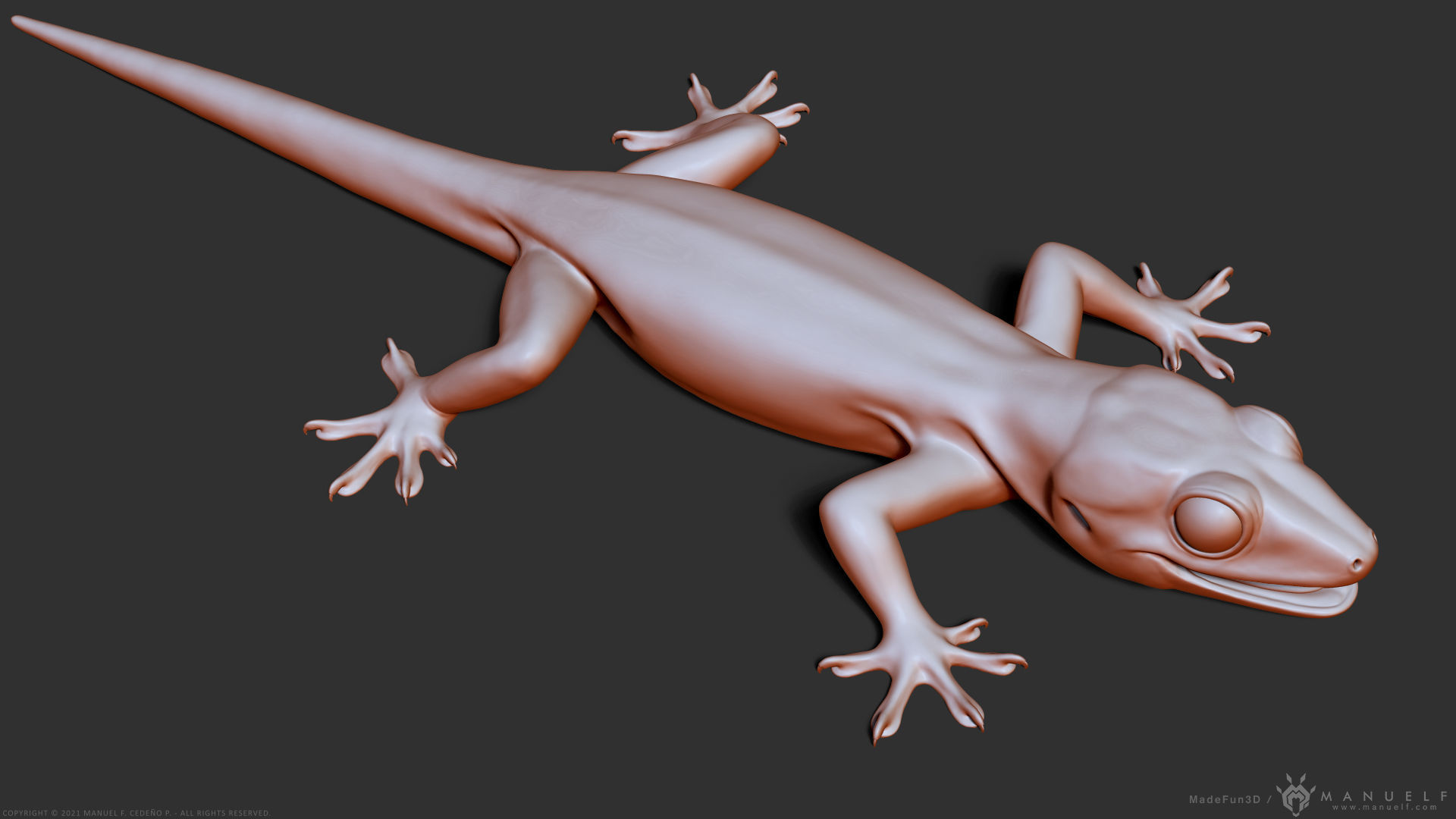 Tropical House Gecko Lizard - Highpoly Model 3D model_16