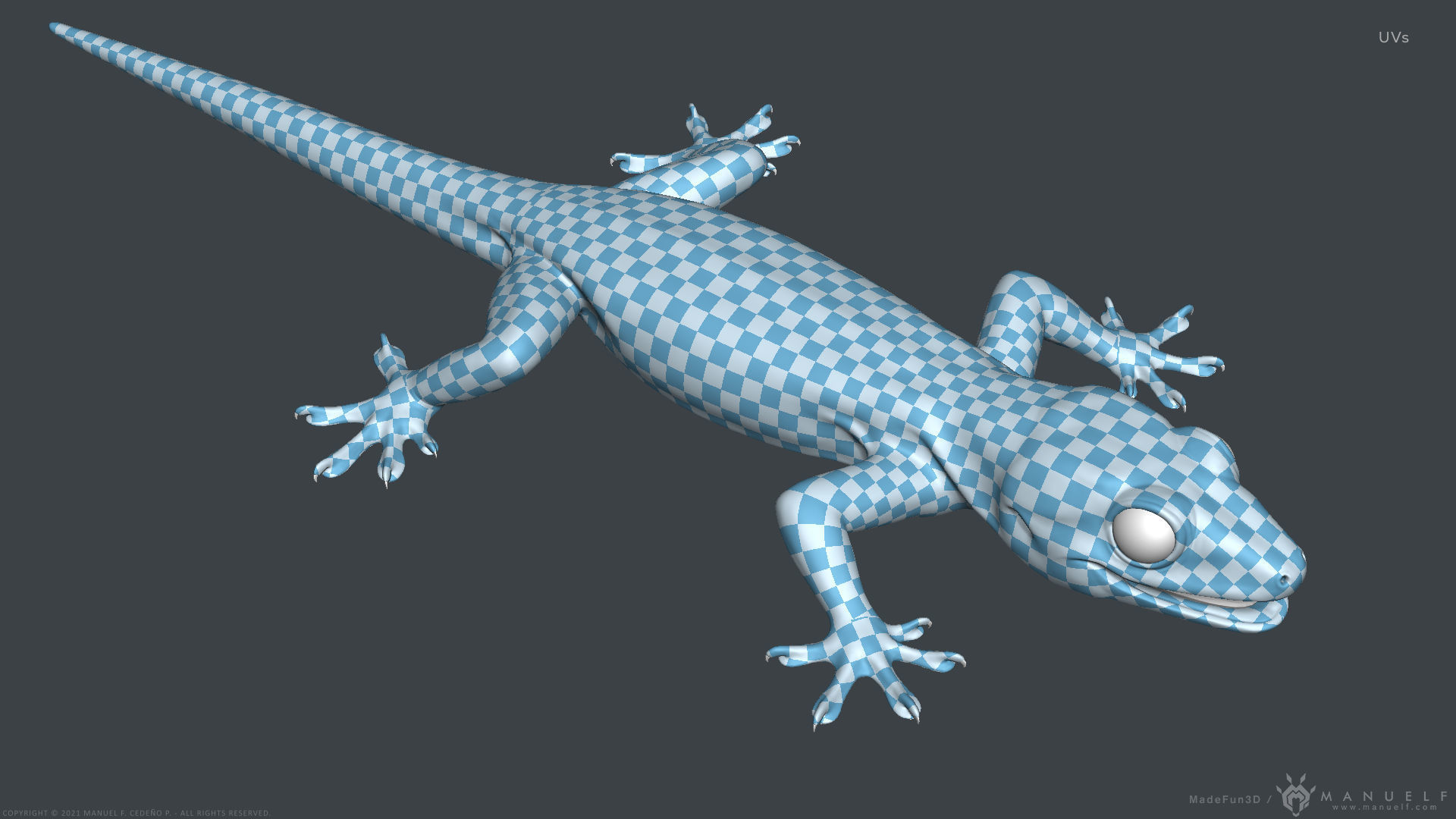 Tropical House Gecko Lizard - Highpoly Model 3D model_20