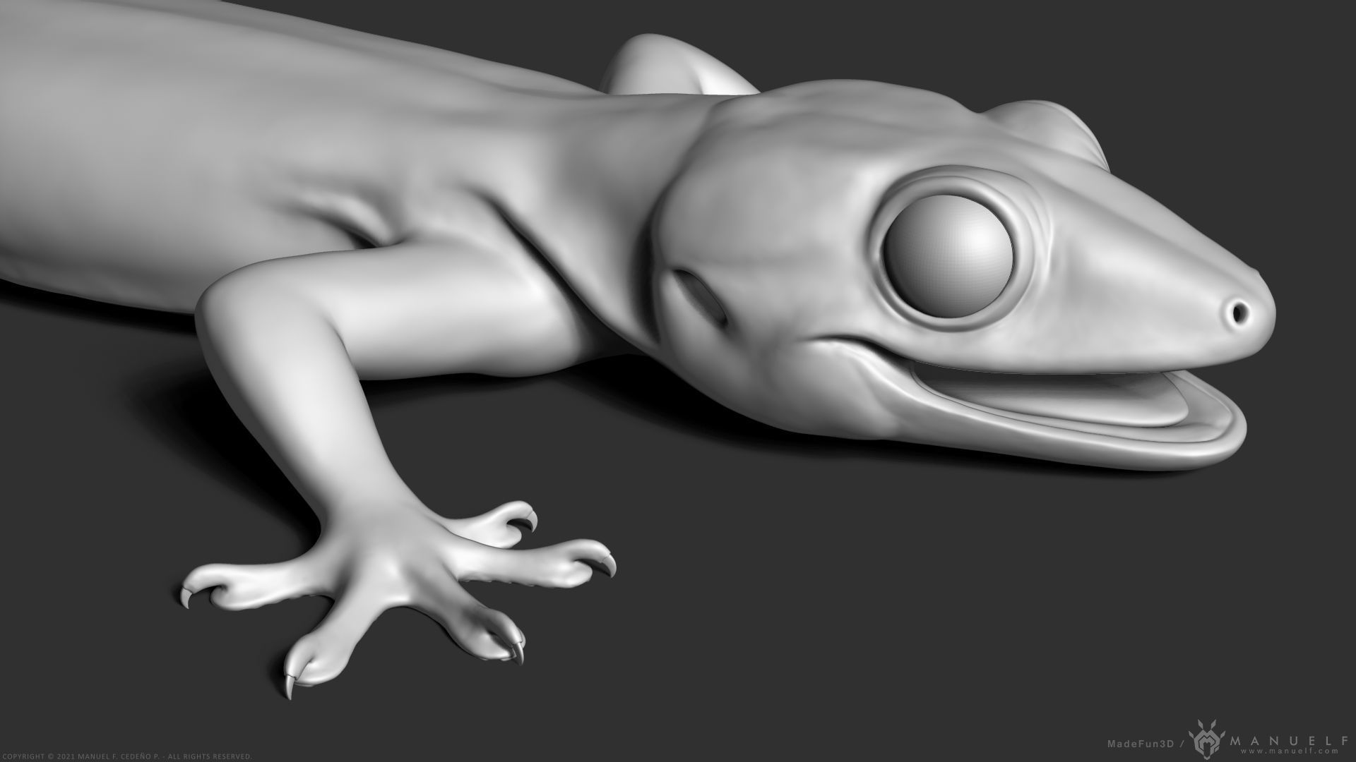 Tropical House Gecko Lizard - Highpoly Model 3D model_12