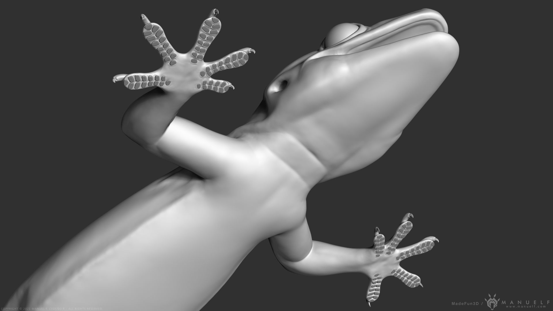 Tropical House Gecko Lizard - Highpoly Model 3D model_9