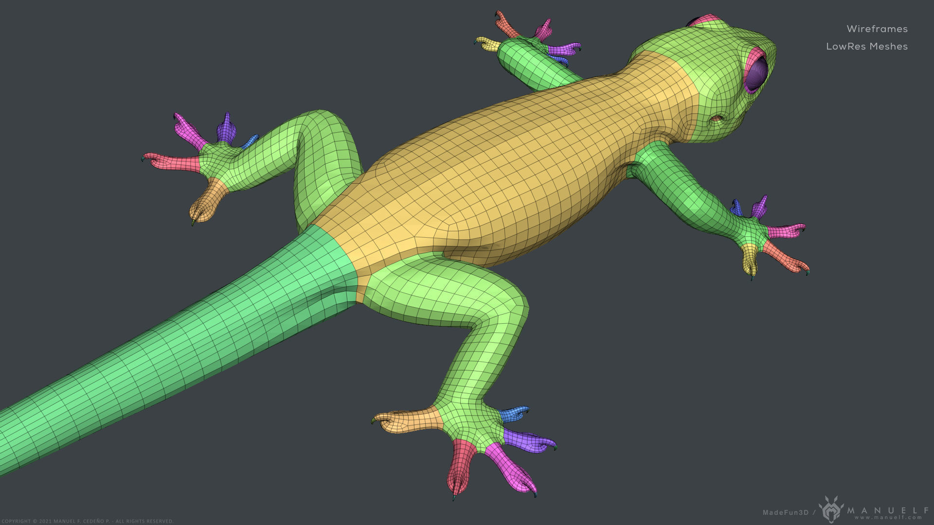 Tropical House Gecko Lizard - Highpoly Model 3D model_28