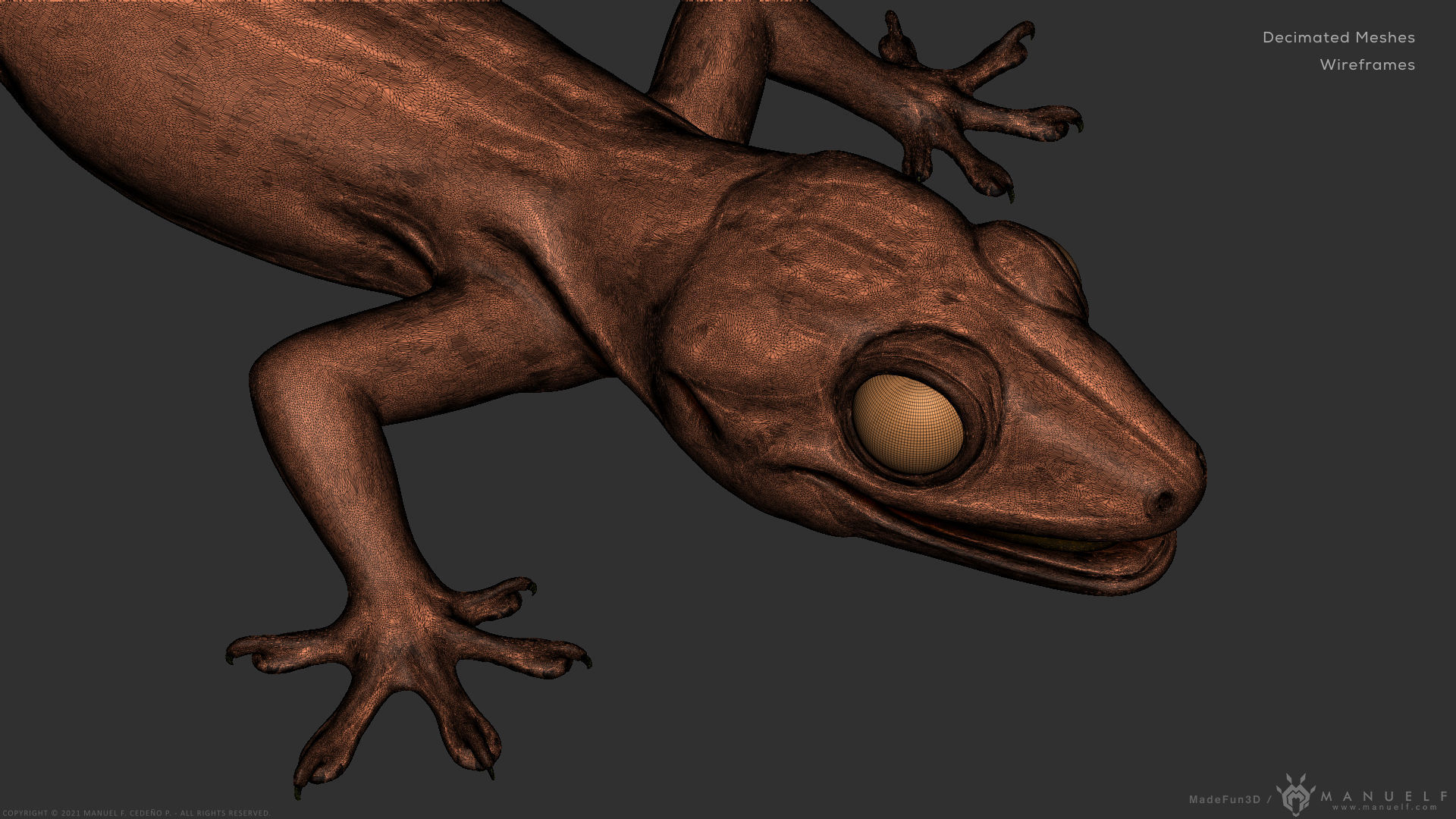 Tropical House Gecko Lizard - Highpoly Model 3D model_29