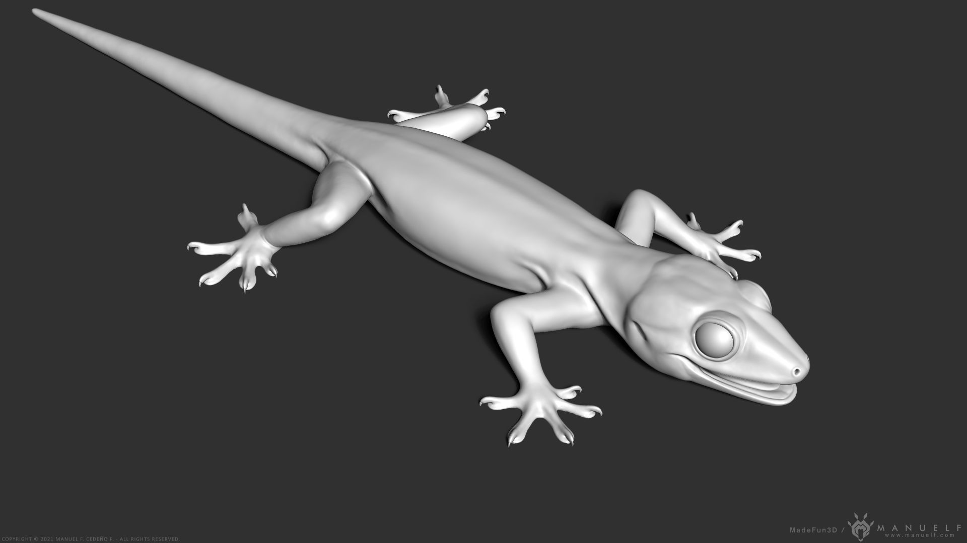Tropical House Gecko Lizard - Highpoly Model 3D model_1