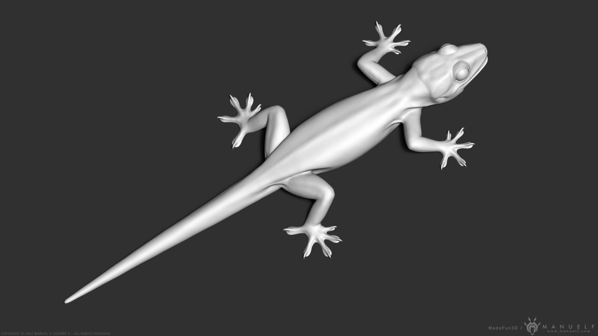 Tropical House Gecko Lizard - Highpoly Model 3D model_2