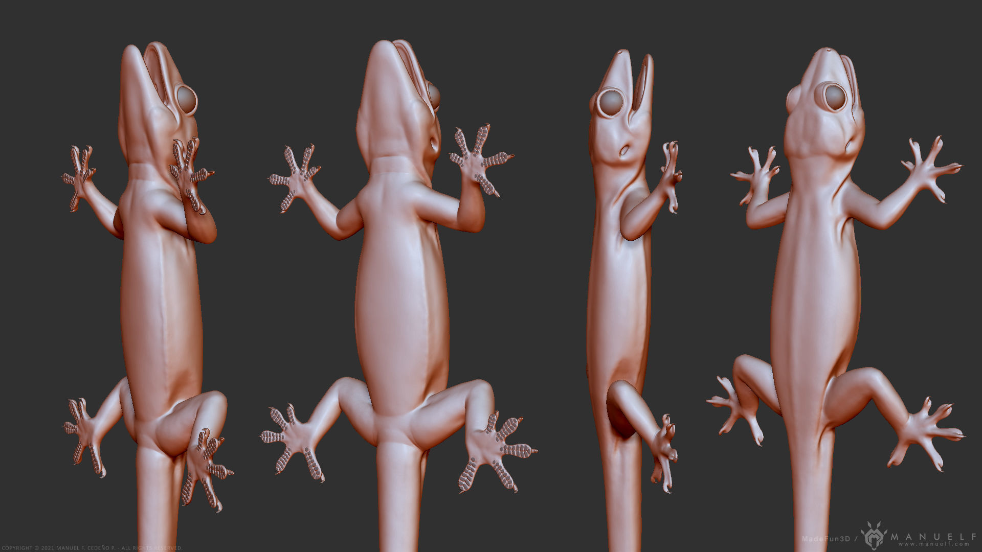 Tropical House Gecko Lizard - Highpoly Model 3D model_18
