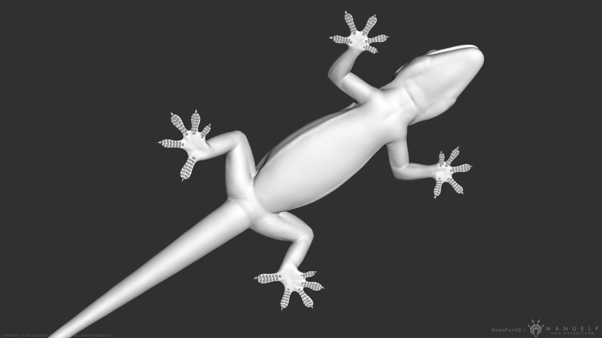 Tropical House Gecko Lizard - Highpoly Model 3D model_6